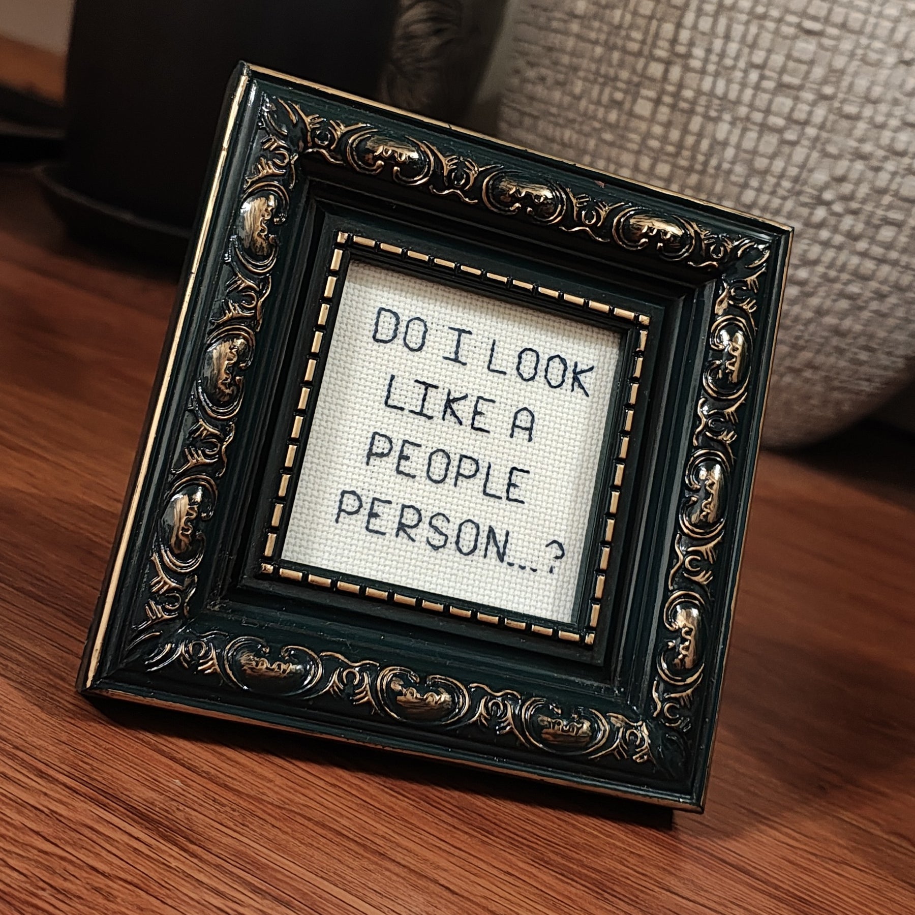 "People person...?" framed cross stitch