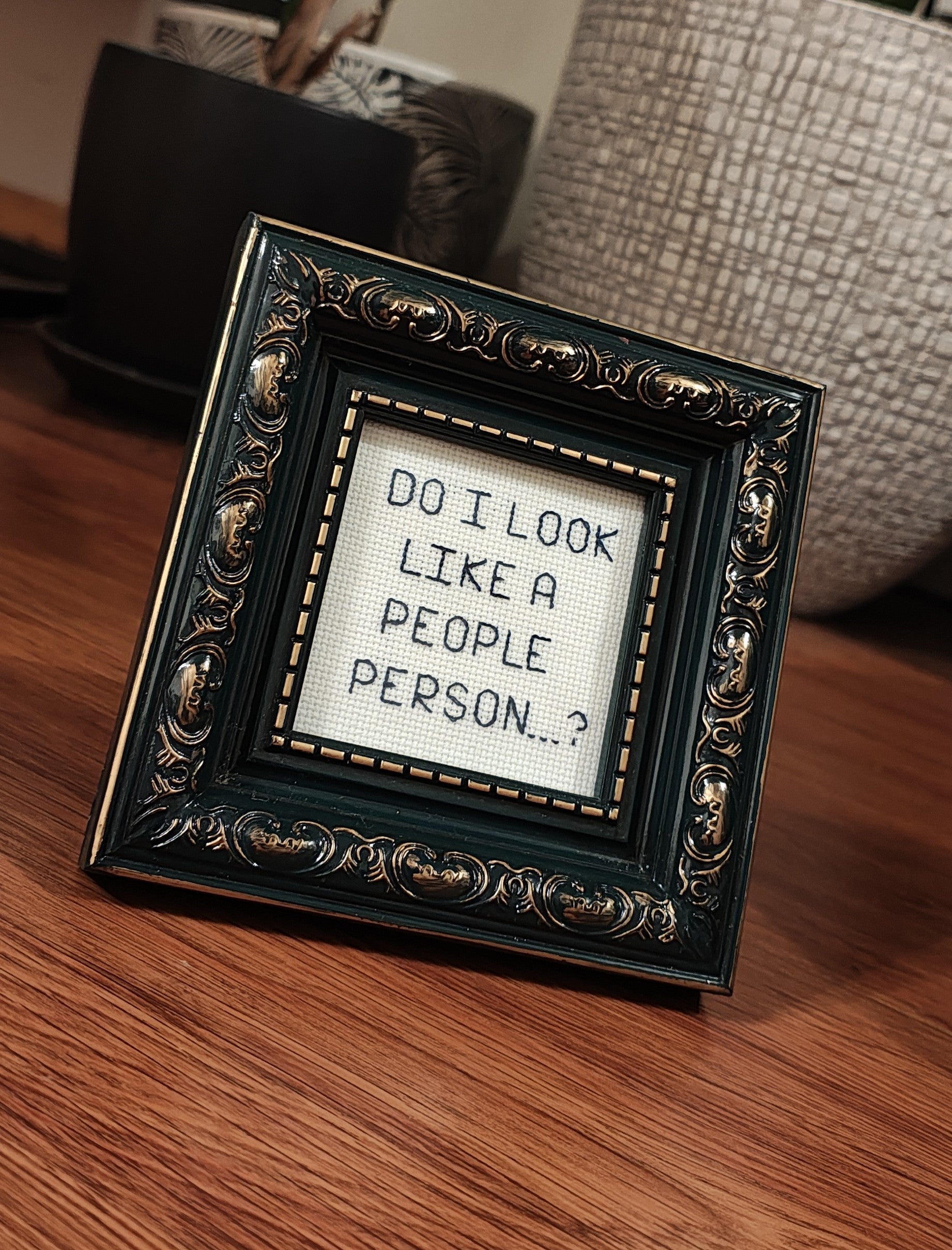 "People person...?" framed cross stitch