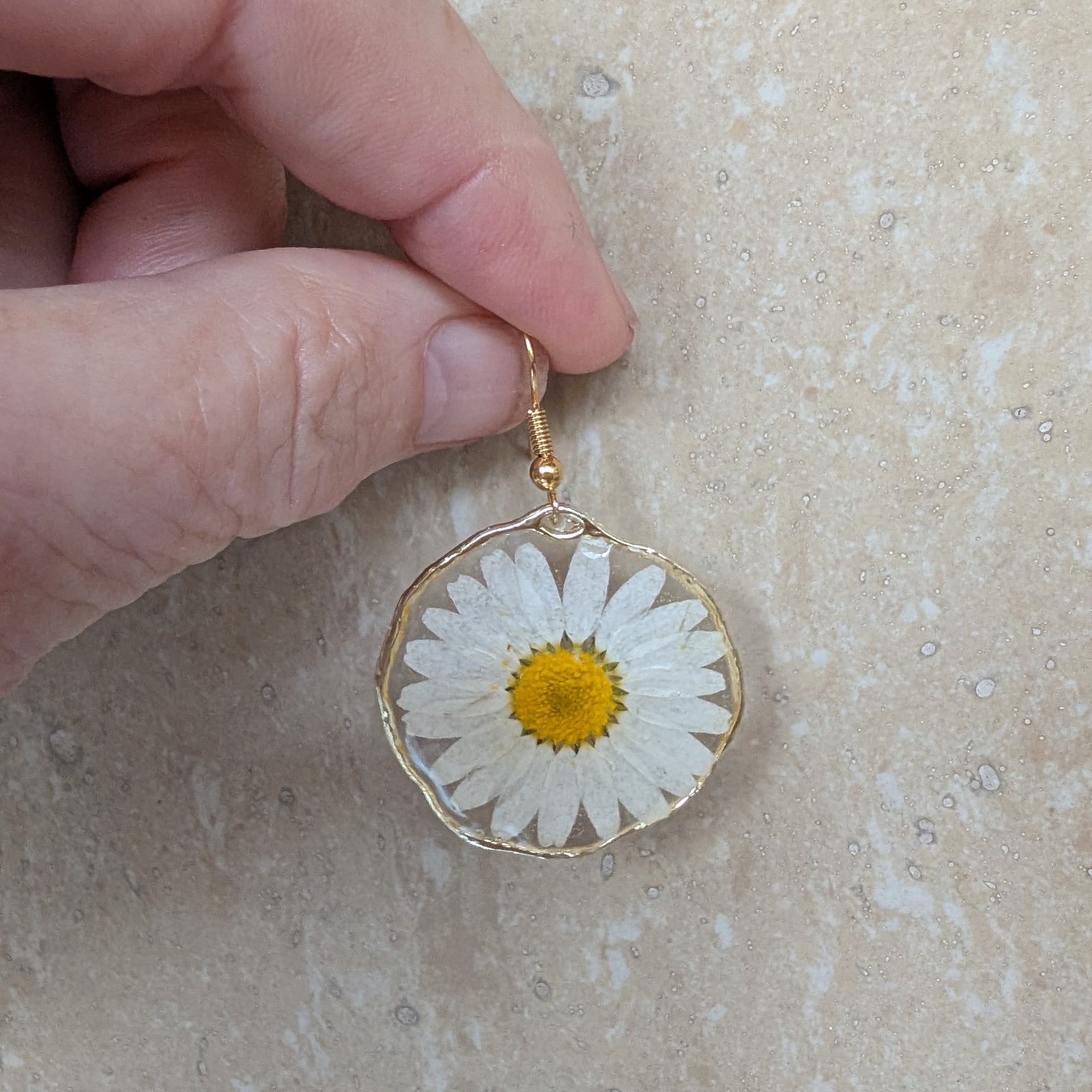 White daisies, real flowers, April birth flower