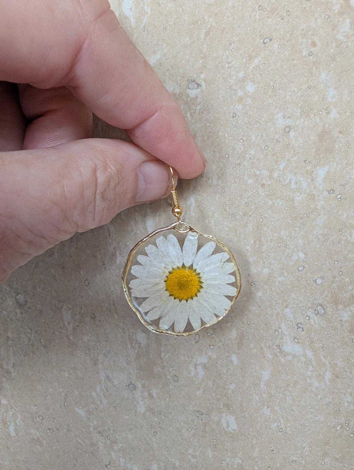 White daisies, real flowers, April birth flower
