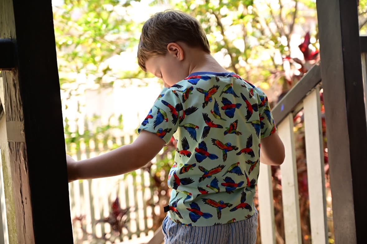 Rainbow birds organic cotton tee shirt 2026-27