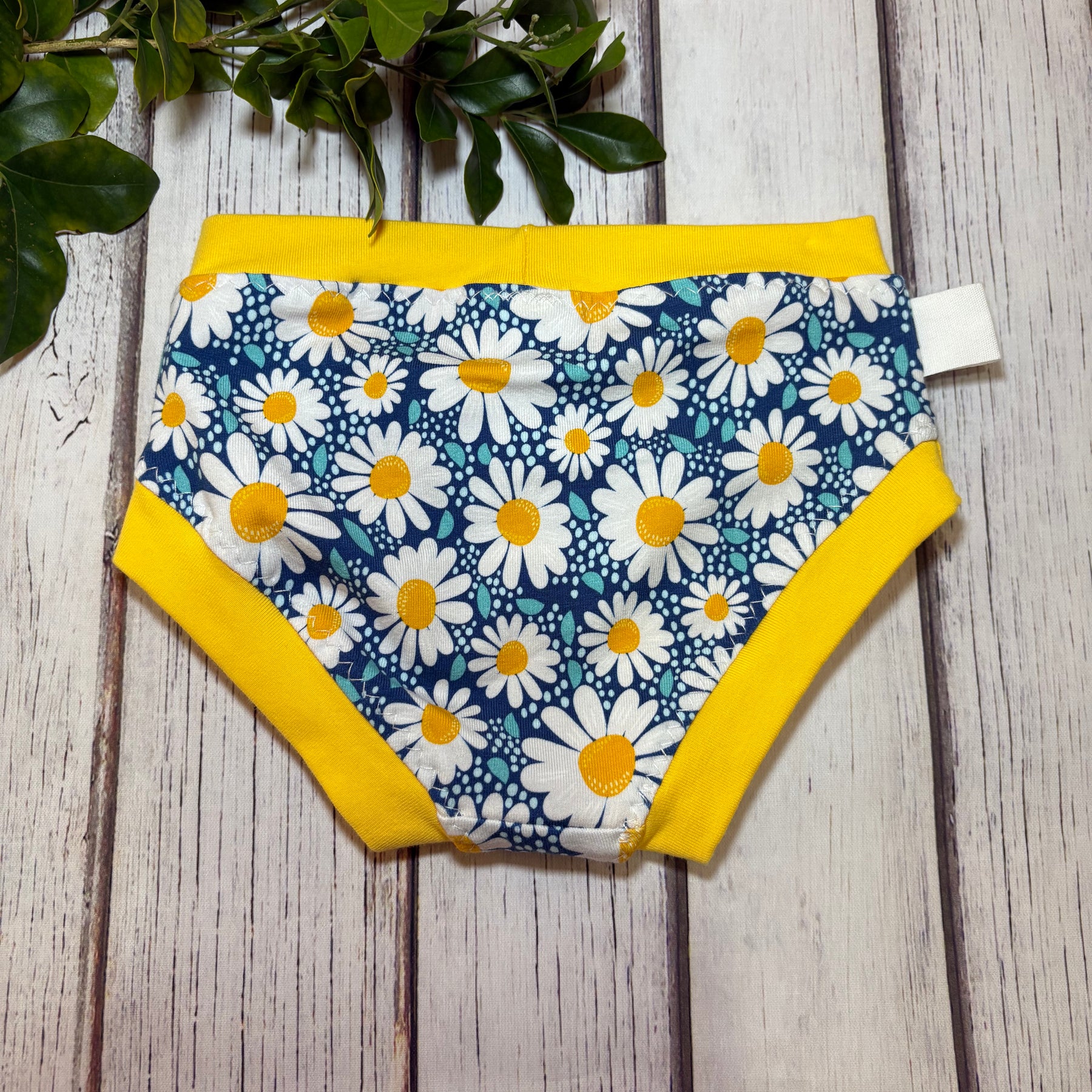 Kid's Size 2 Underwear