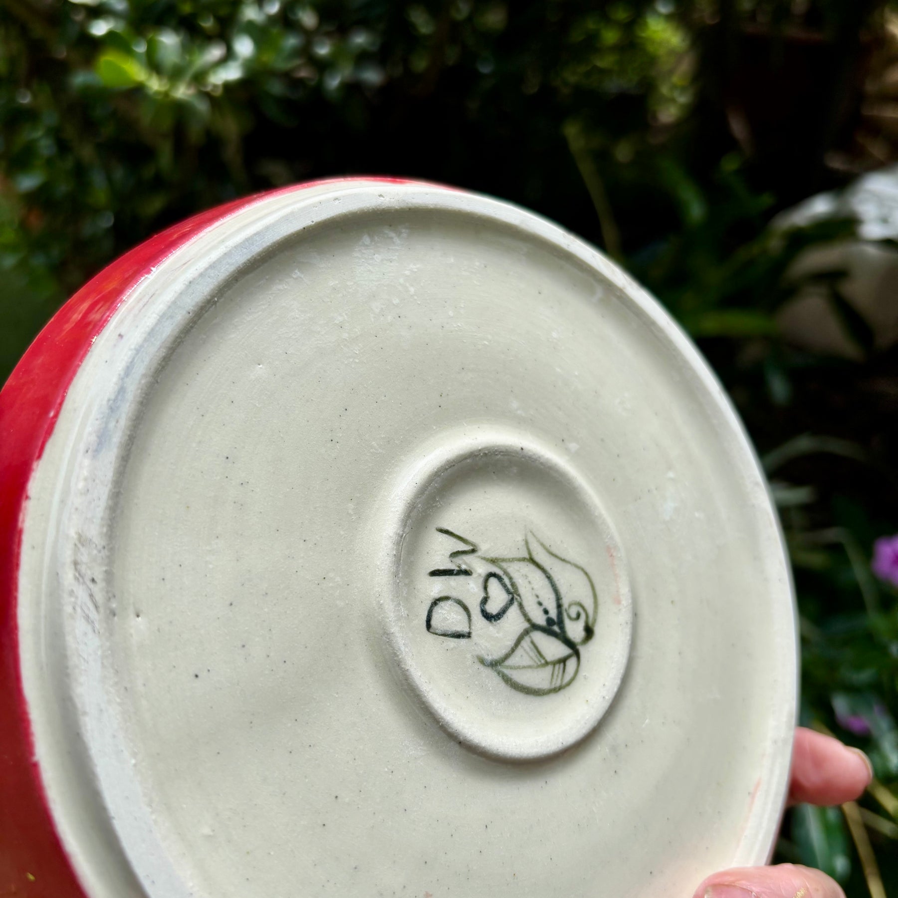 Christmas festive plates