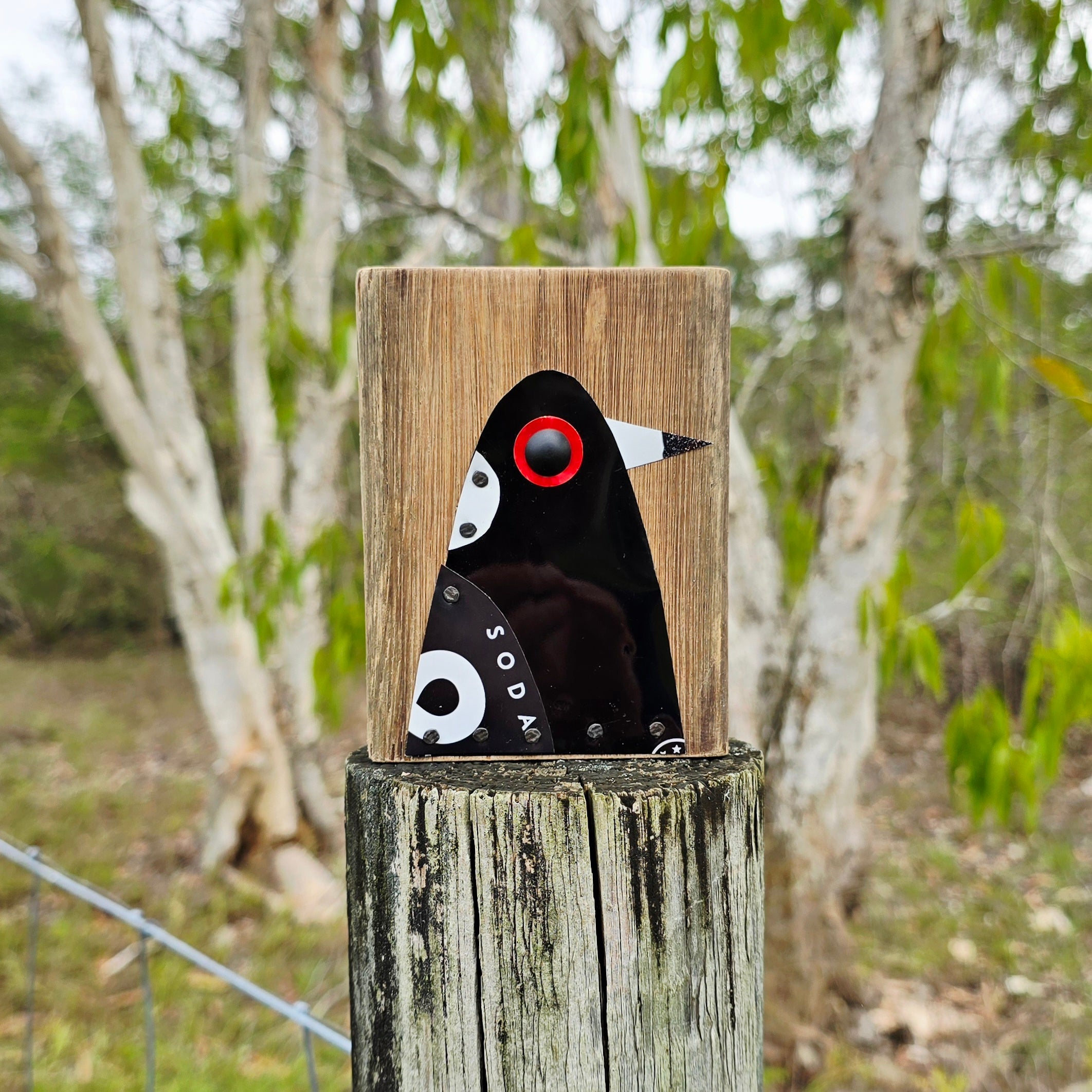 BIRD BLOCK - AUSTRALIAN MAGPIE