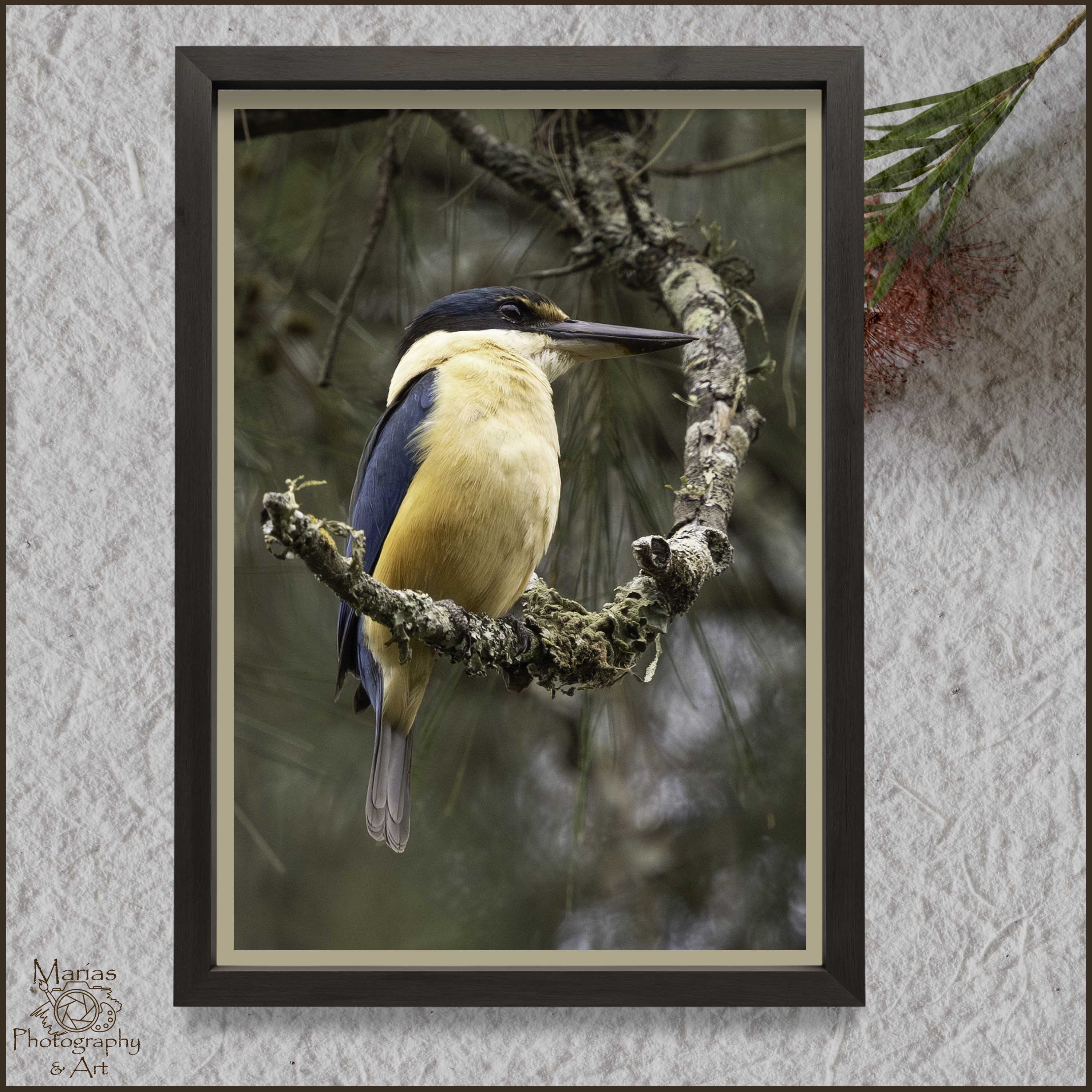 Photographic print | Wall Art | Sacred beauty