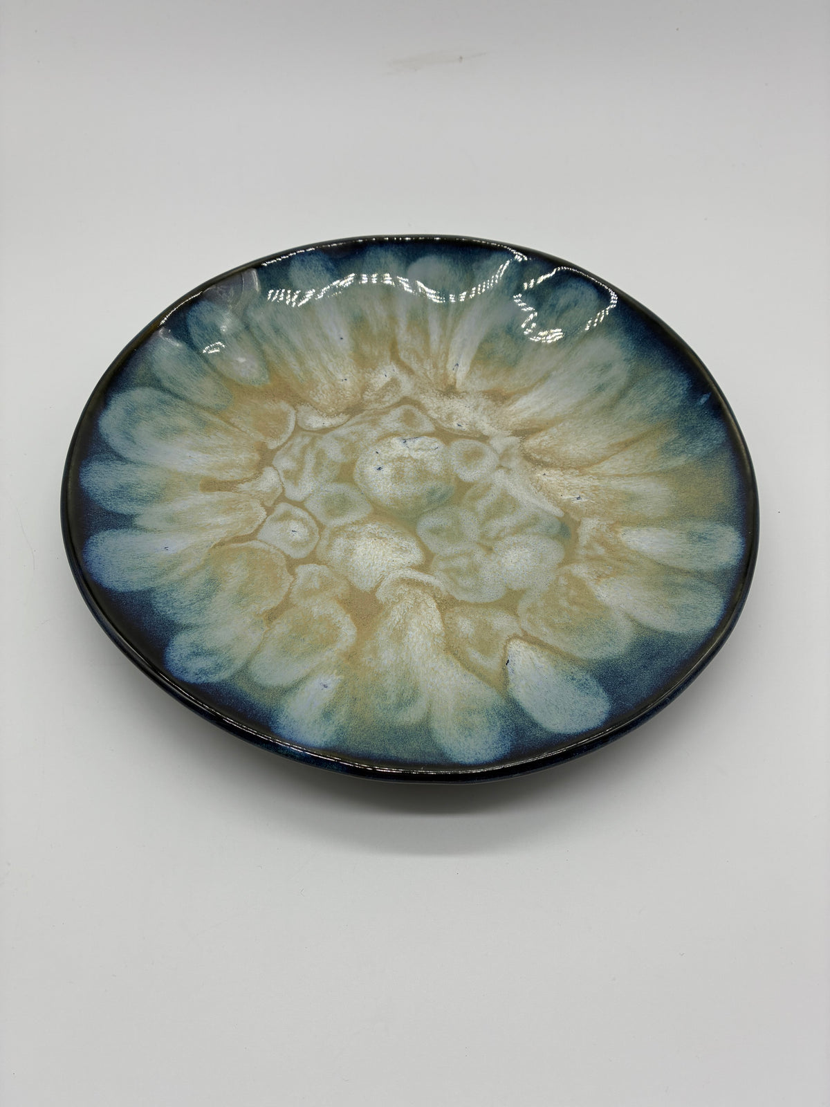 Frozen Pond Plate