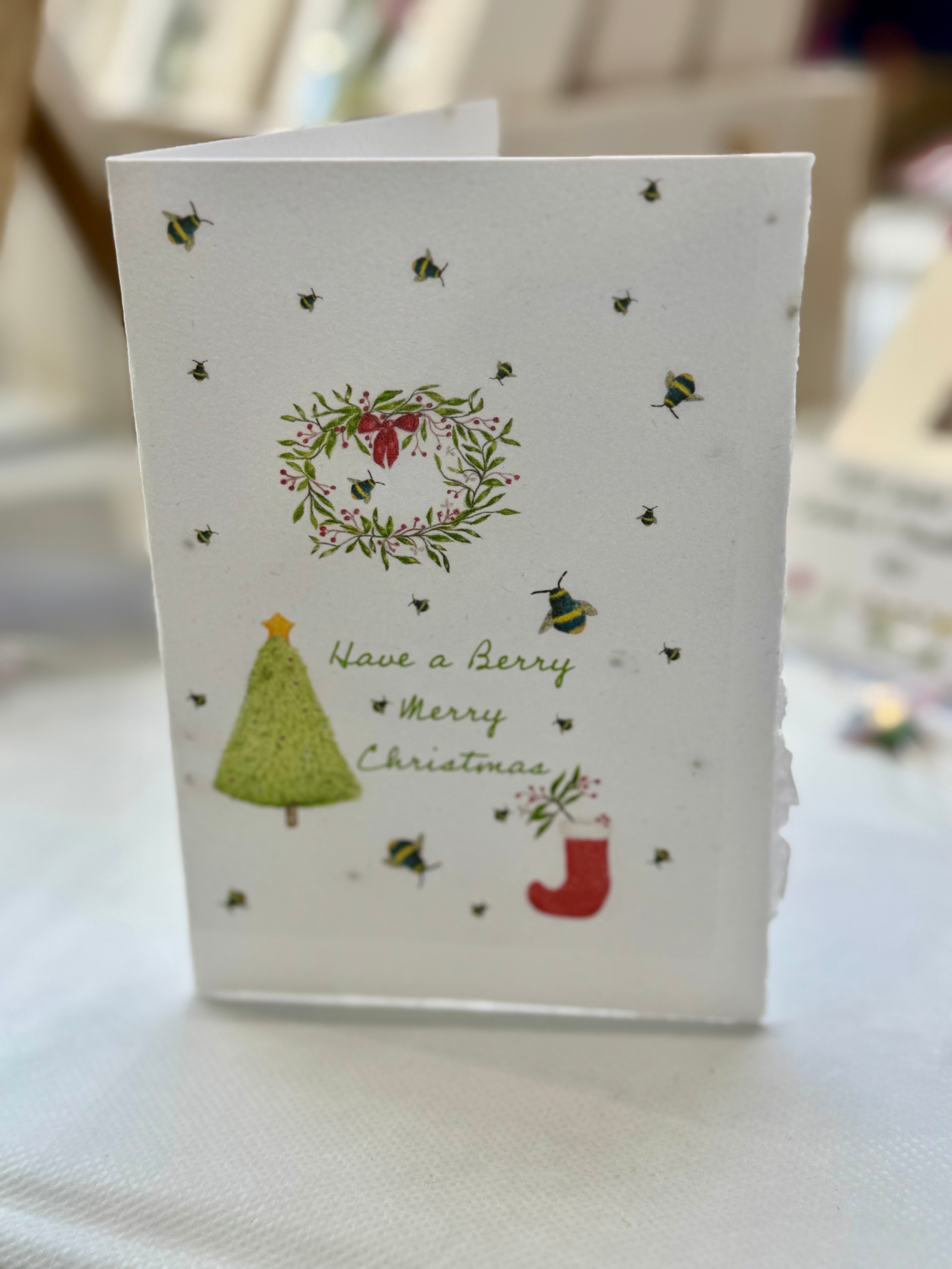 Christmas Seeded Paper Cards