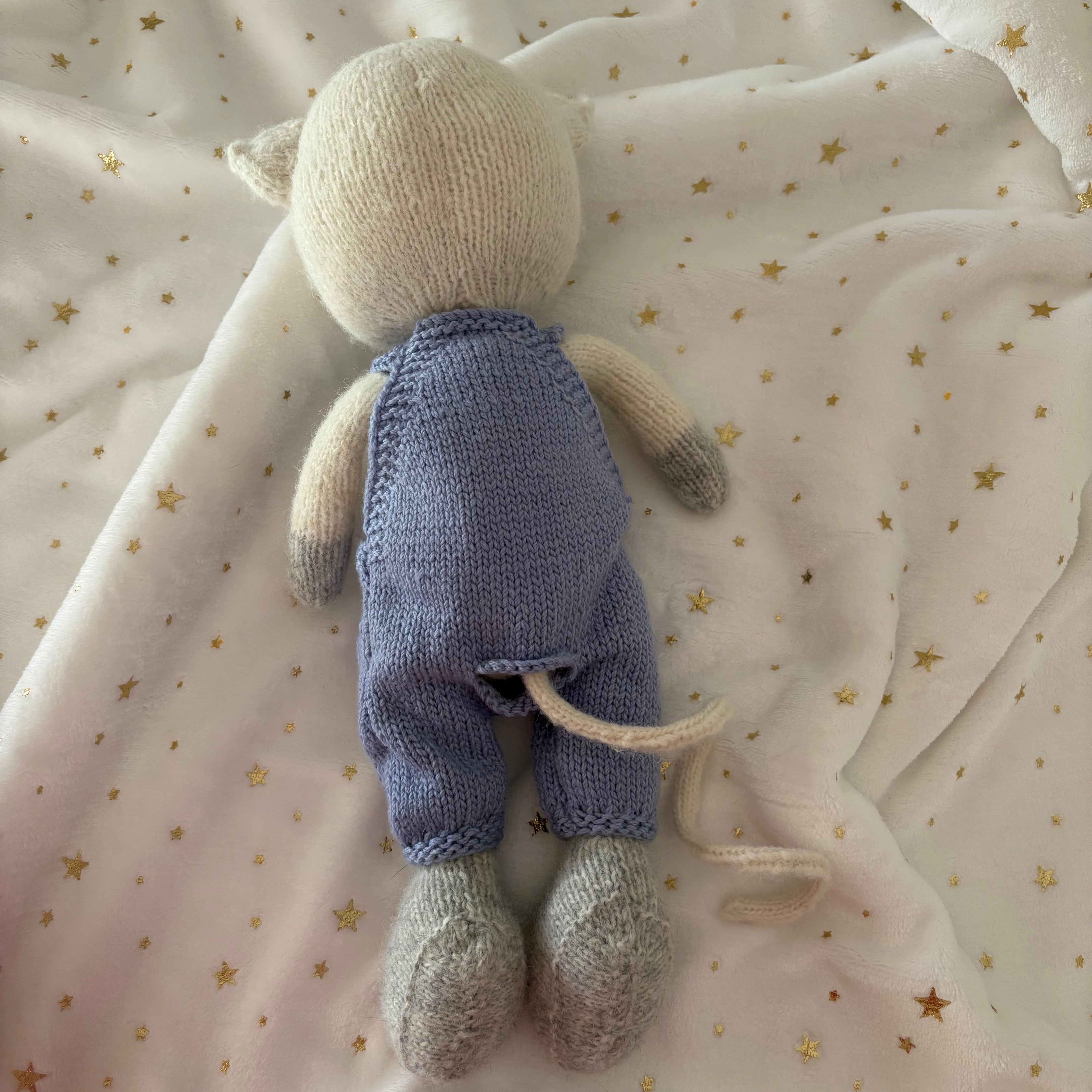 Fluffy cat in blue overalls