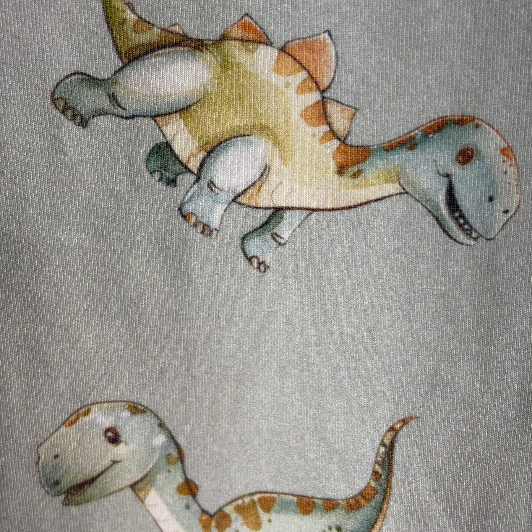 EOFY SALE BABY DINOSAURS DRESS/NIGHTIE 2-3 Years