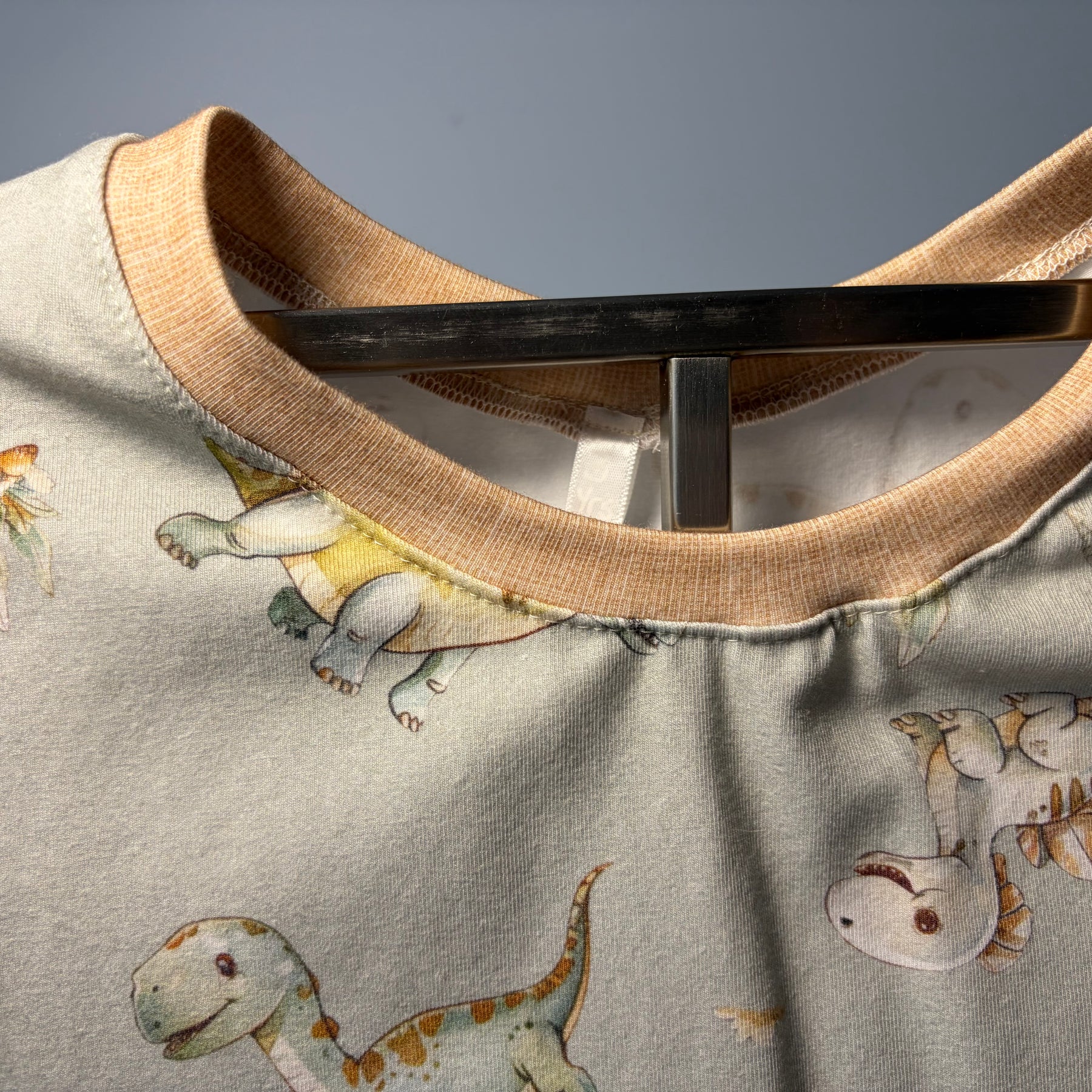 EOFY SALE BABY DINOSAURS DRESS/NIGHTIE 2-3 Years