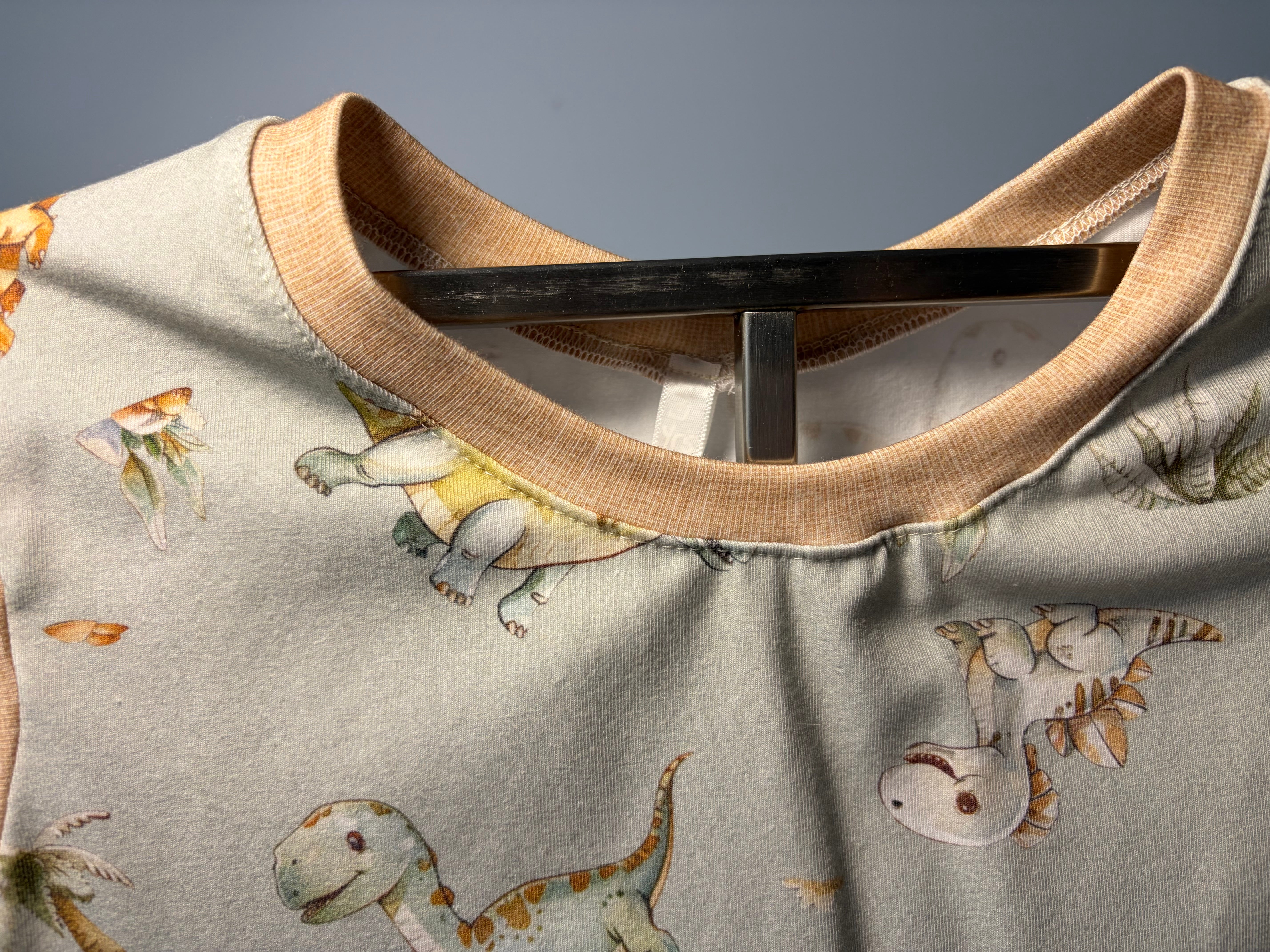 EOFY SALE BABY DINOSAURS DRESS/NIGHTIE 2-3 Years