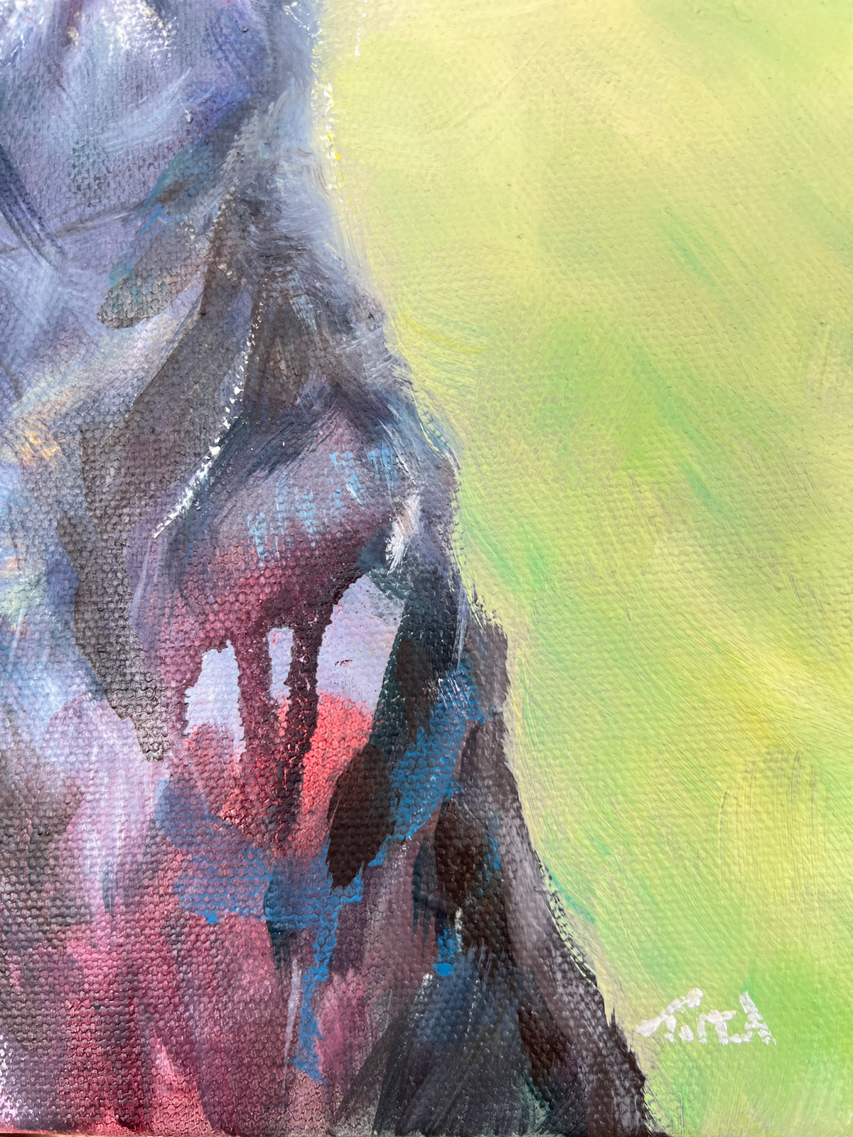 Original Black Cat Portrait - Eyes Full of Wonder