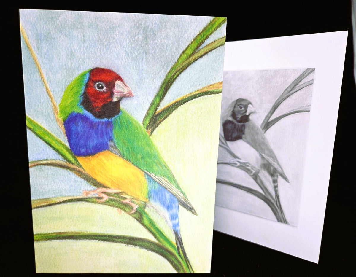 Bundle of 3 Greeting Cards (blank inside)- Original drawings- 5cm x 7cm (127mm x 178mm)