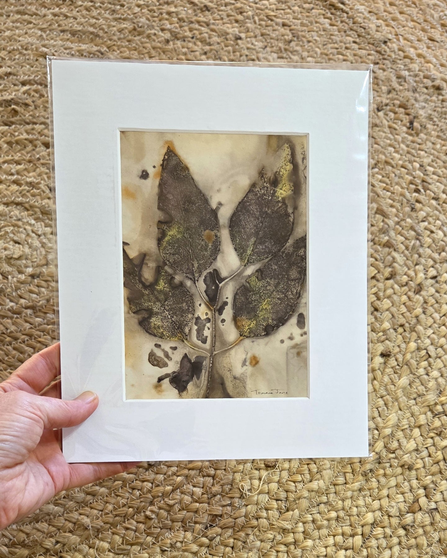 Wild Impressions ~ Set of 3 Original Botanical Artworks  - Eco Print & Watercolour