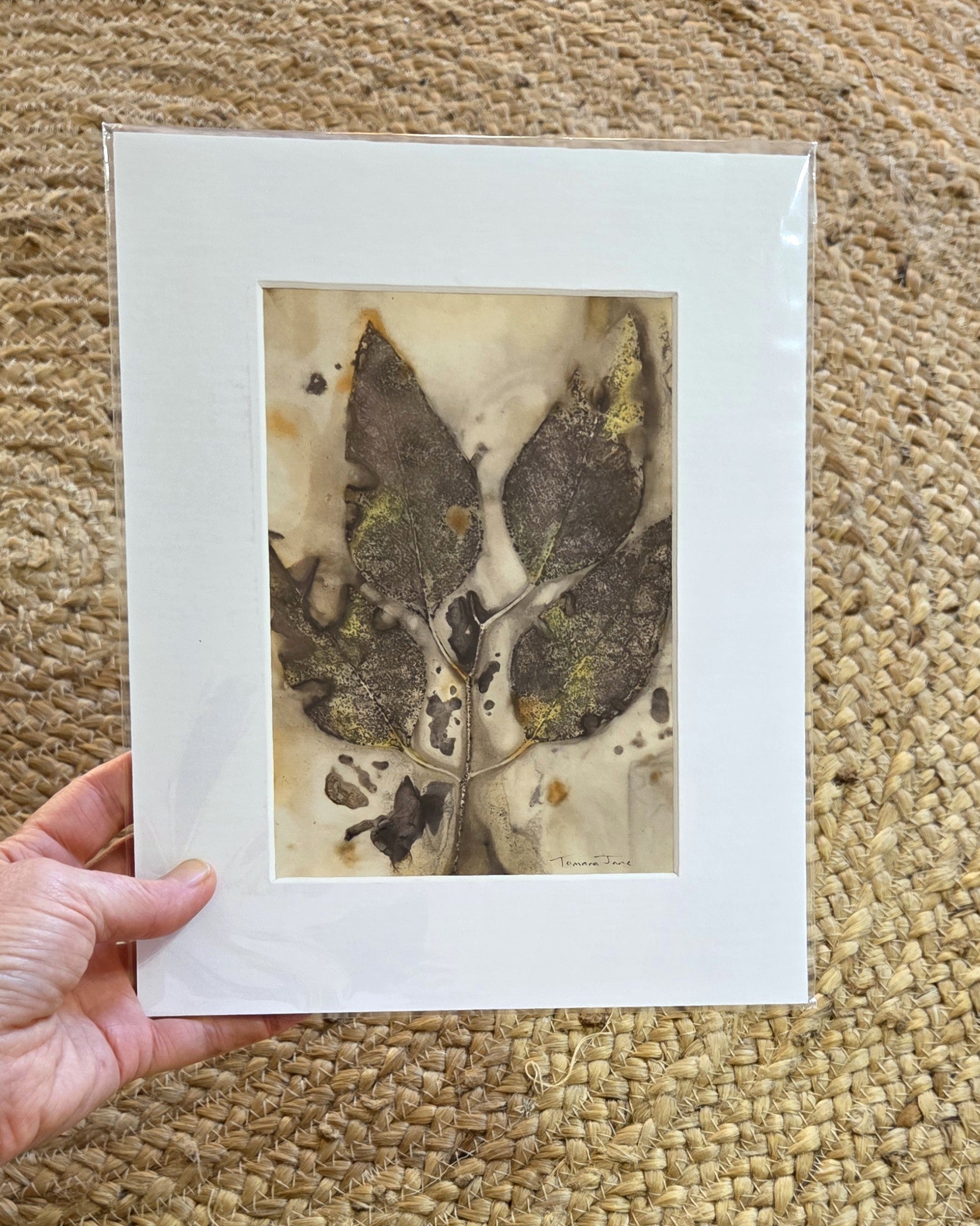 Wild Impressions ~ Set of 3 Original Botanical Artworks  - Eco Print & Watercolour
