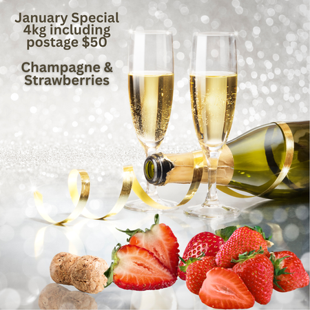 Champagne & Strawberries Laundry Booster