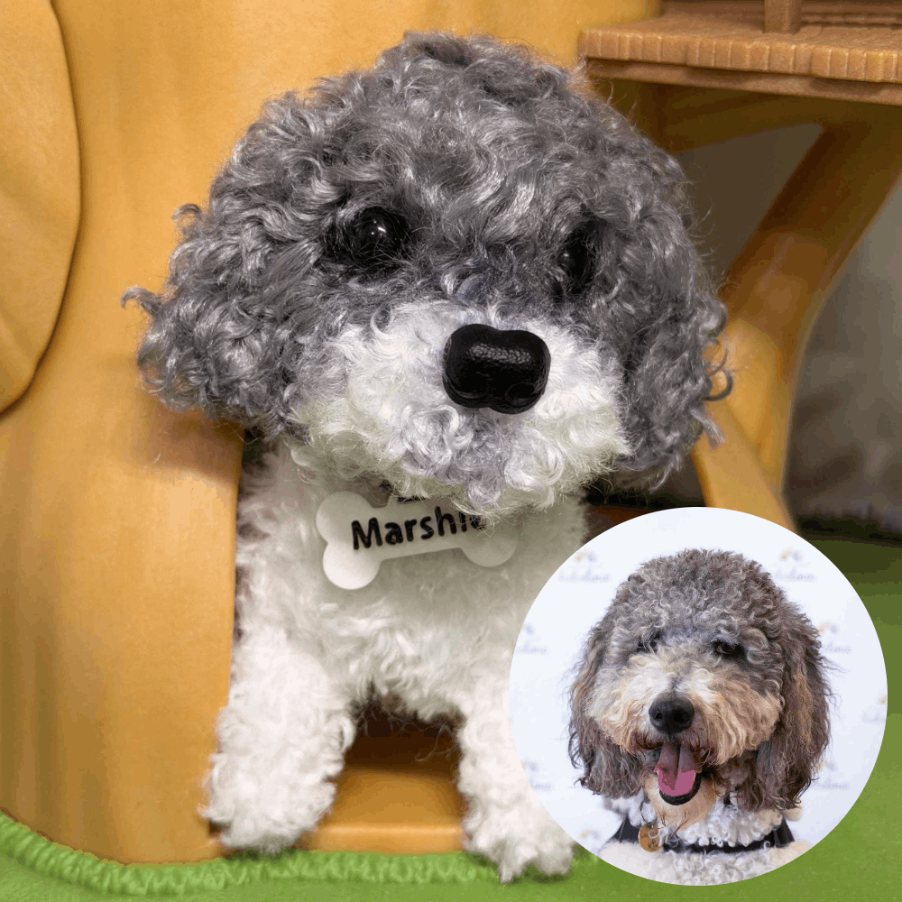 Custom Dog Replica from Photo, Poseable Art Doll, Pet Memorial Keepsake - Handmade Soft Sculpture, Personalised Plushie Ornament