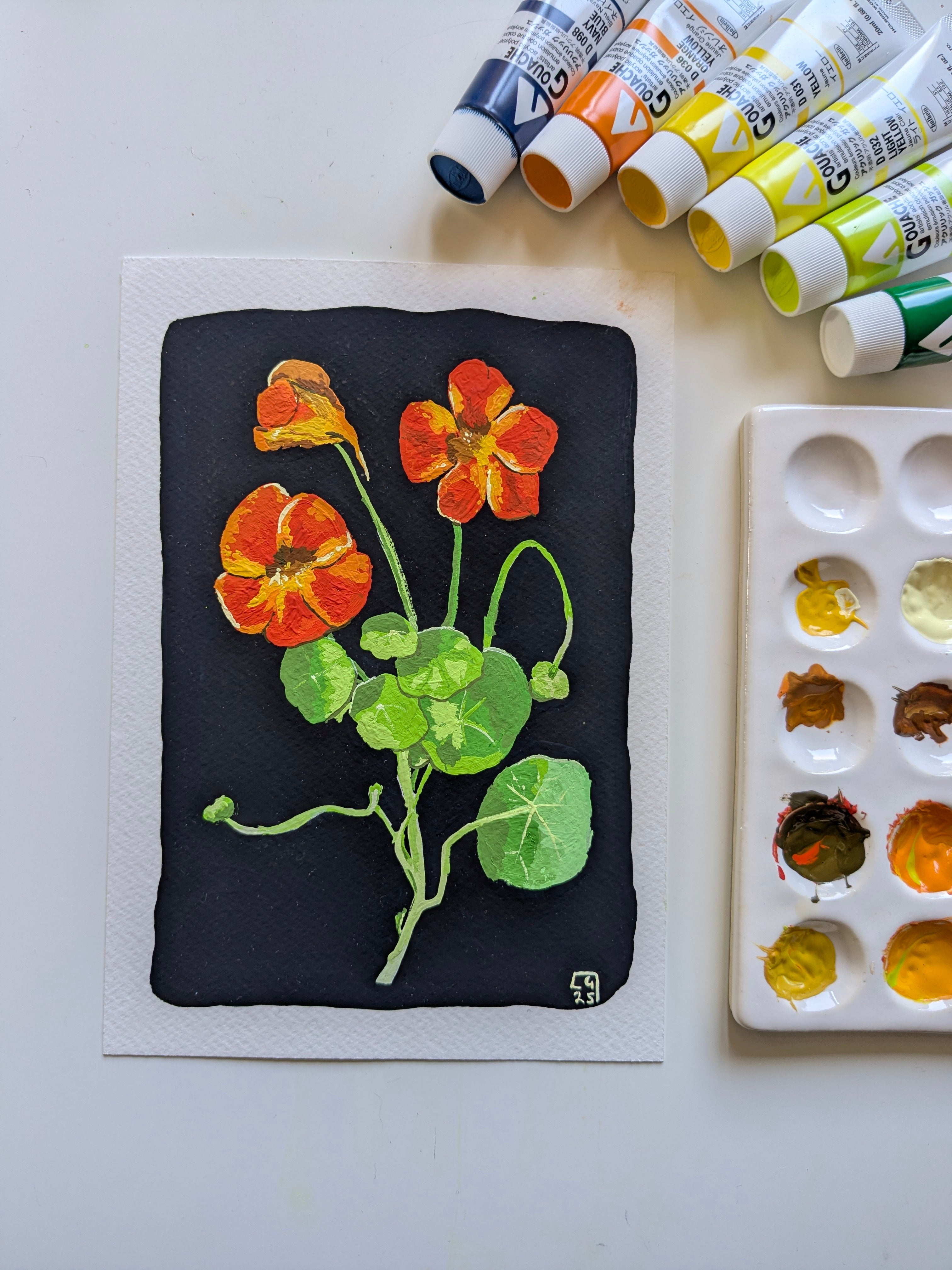 Nasturtiums - art print