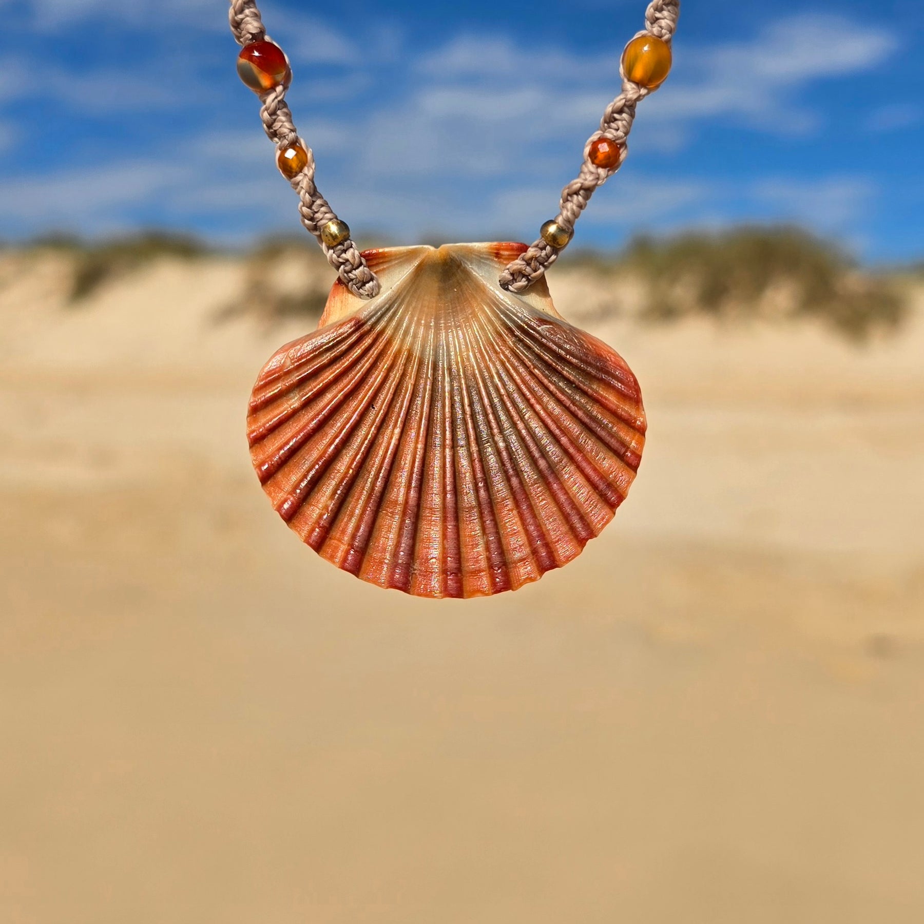 Scallop Shell Necklace with Carnelian & Shell Beads