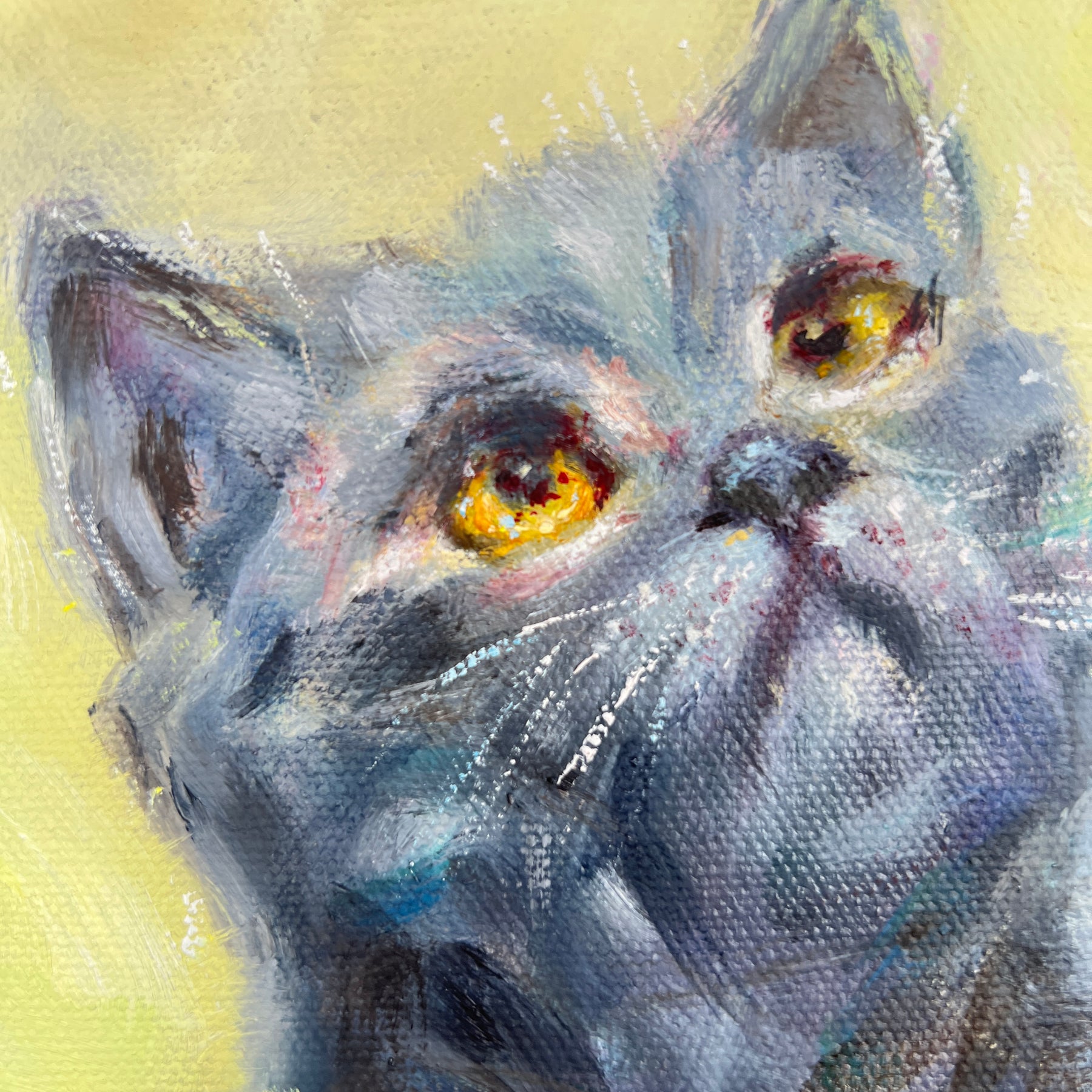 Original Black Cat Portrait - Eyes Full of Wonder