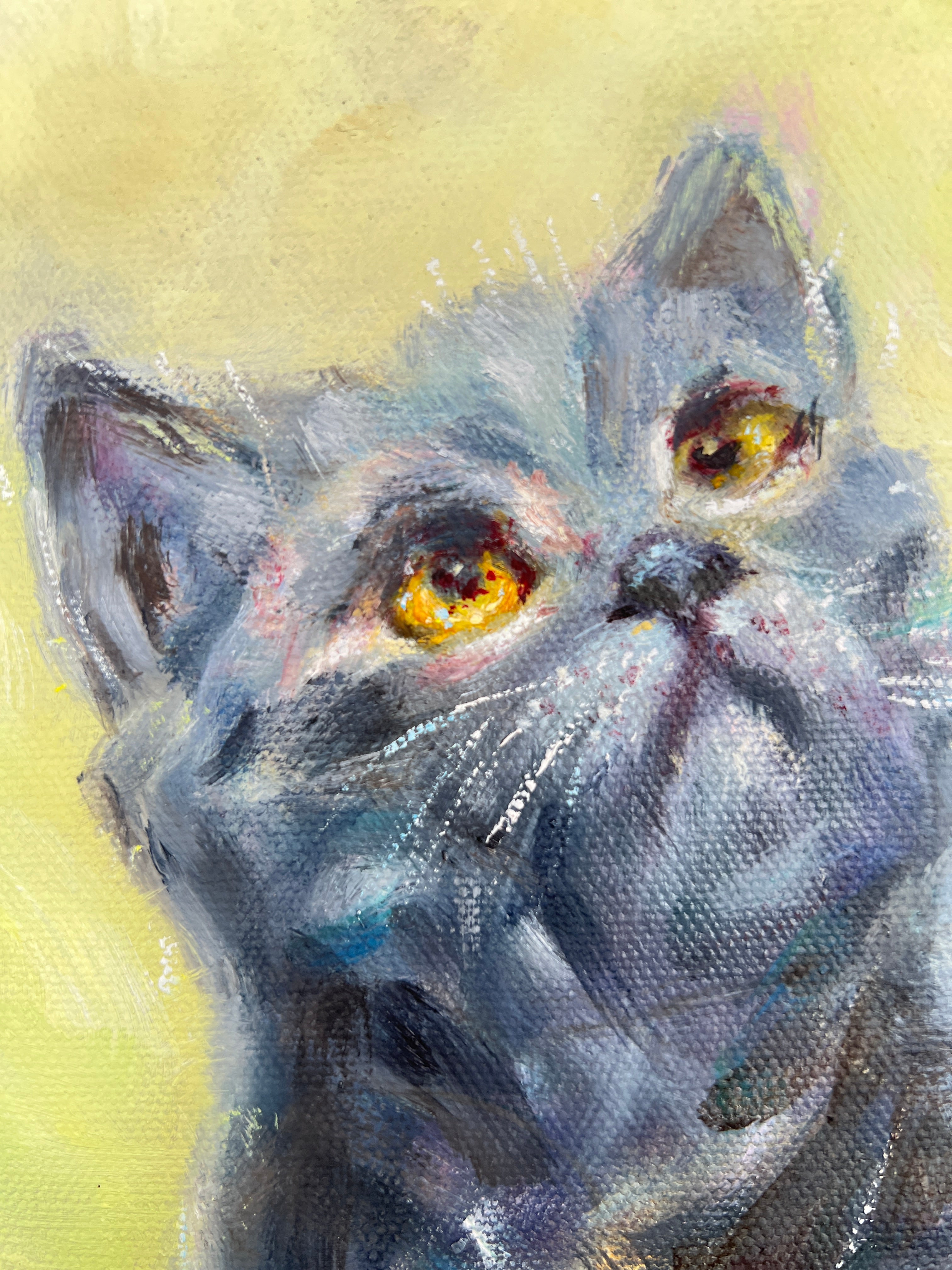 Original Black Cat Portrait - Eyes Full of Wonder