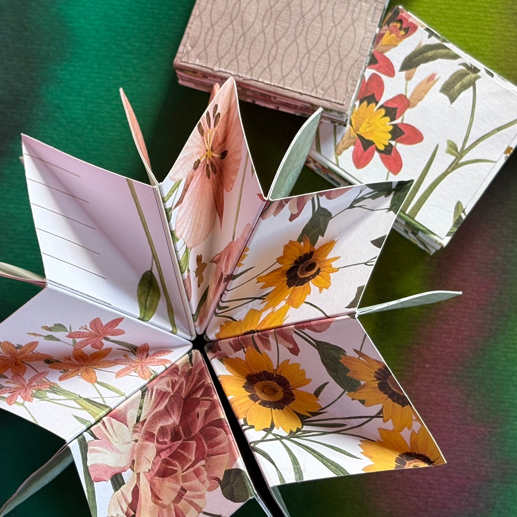 Foldout Pocket Paper Stars, set of 2
