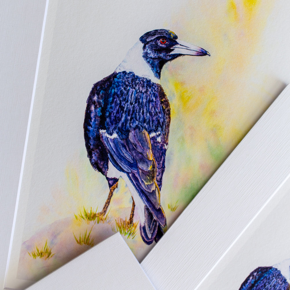 Print | Matted | Australian Magpie
