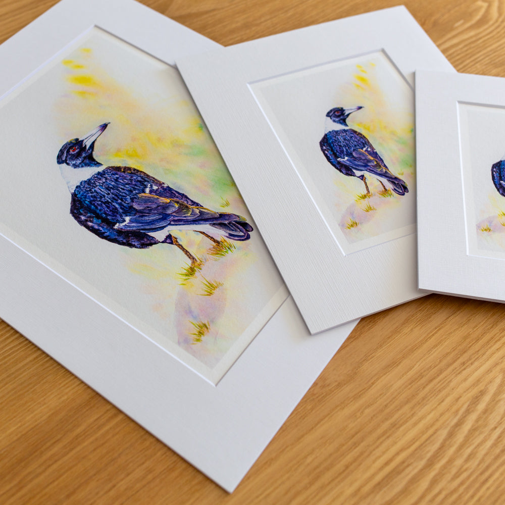 Print | Matted | Australian Magpie