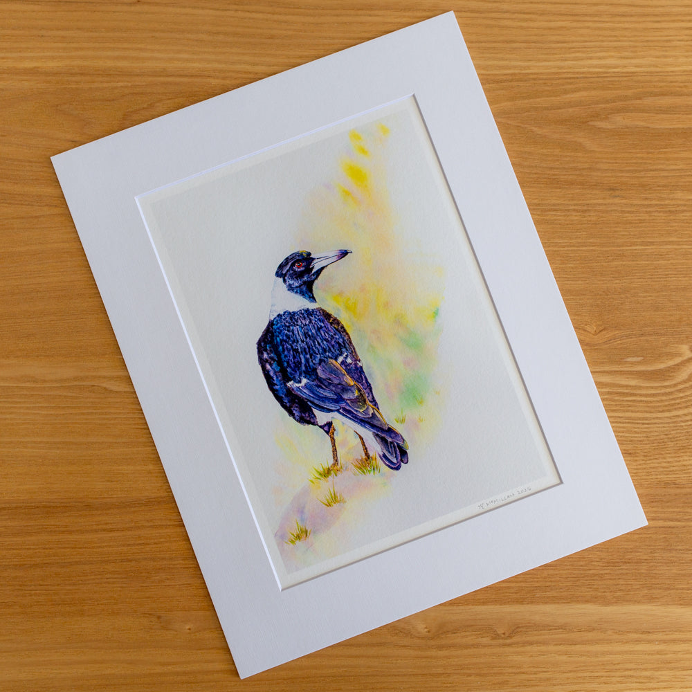 Print | Matted | Australian Magpie