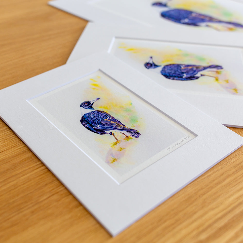 Print | Matted | Australian Magpie