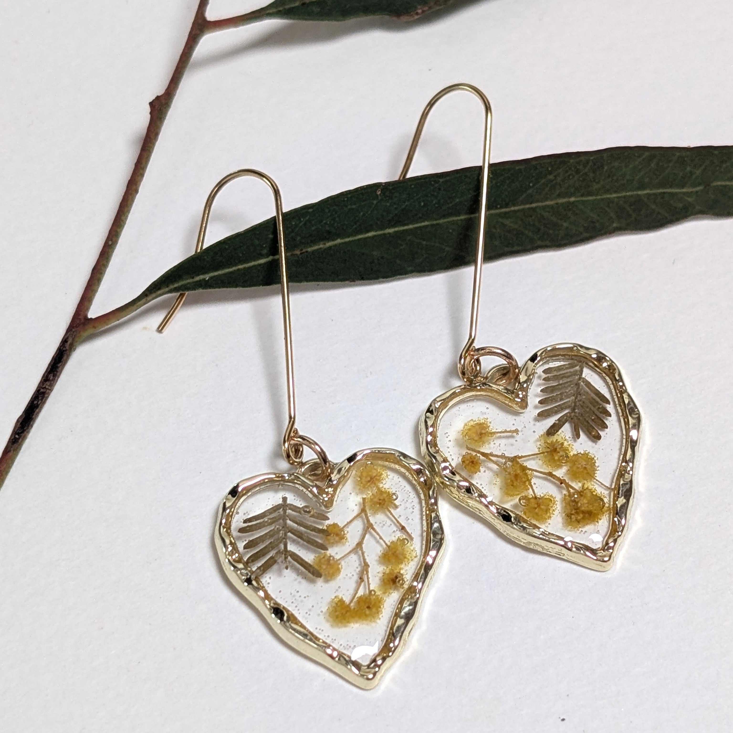 Elegant wattle earrings