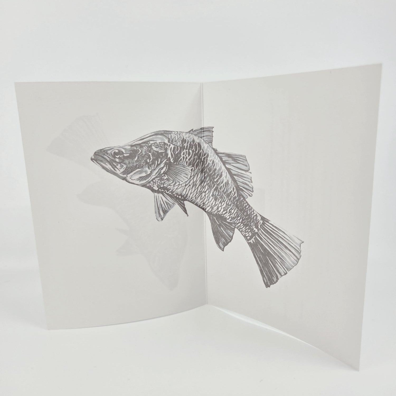 Barramundi Greeting Card (blank) -recycled paper envelope