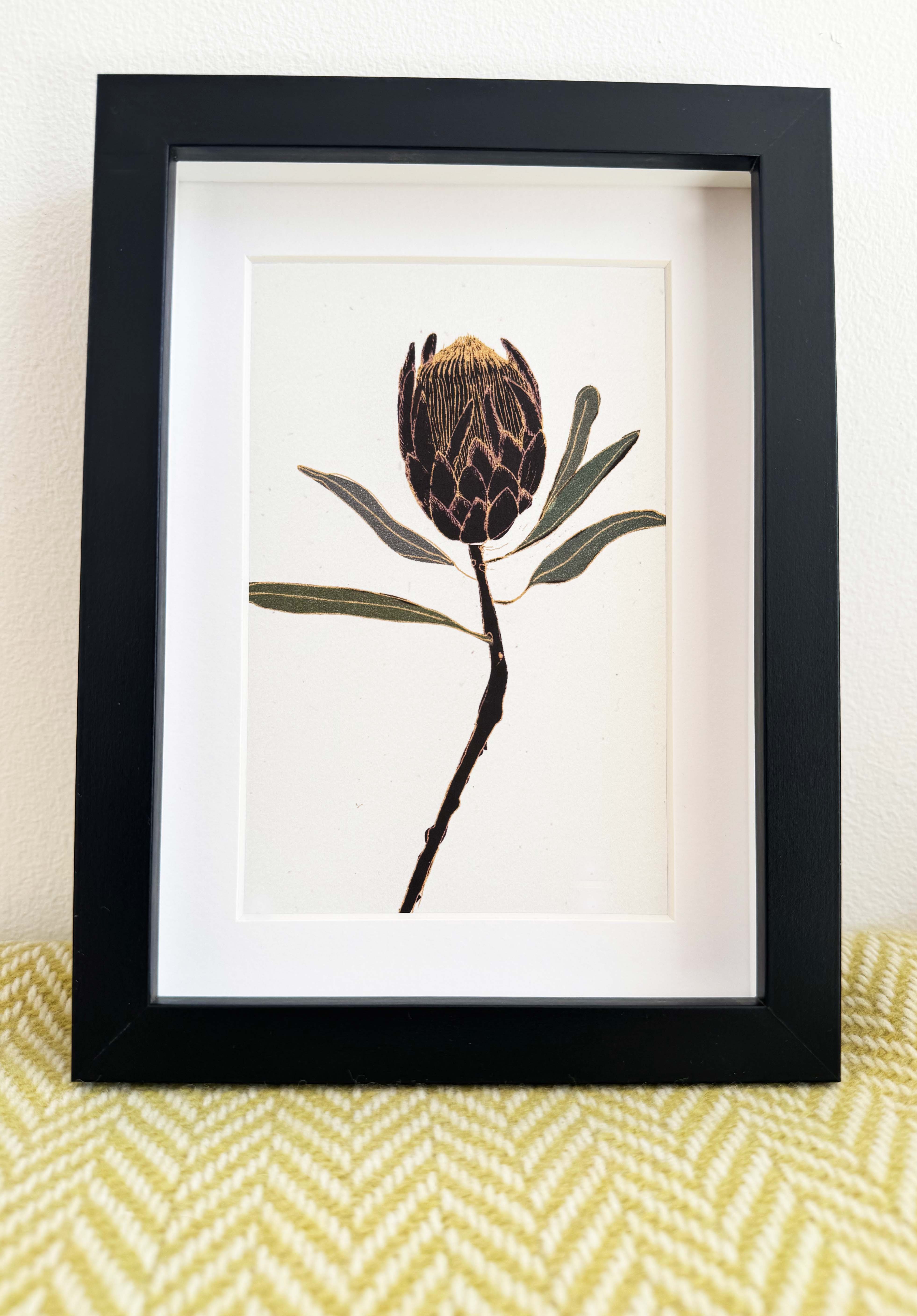 Protea print - black frame with inset included (13 x 18cm)