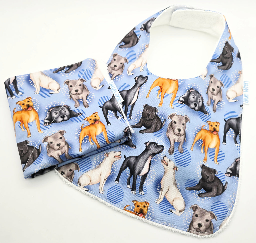 Baby Bib and Wash Cloth Gift Set