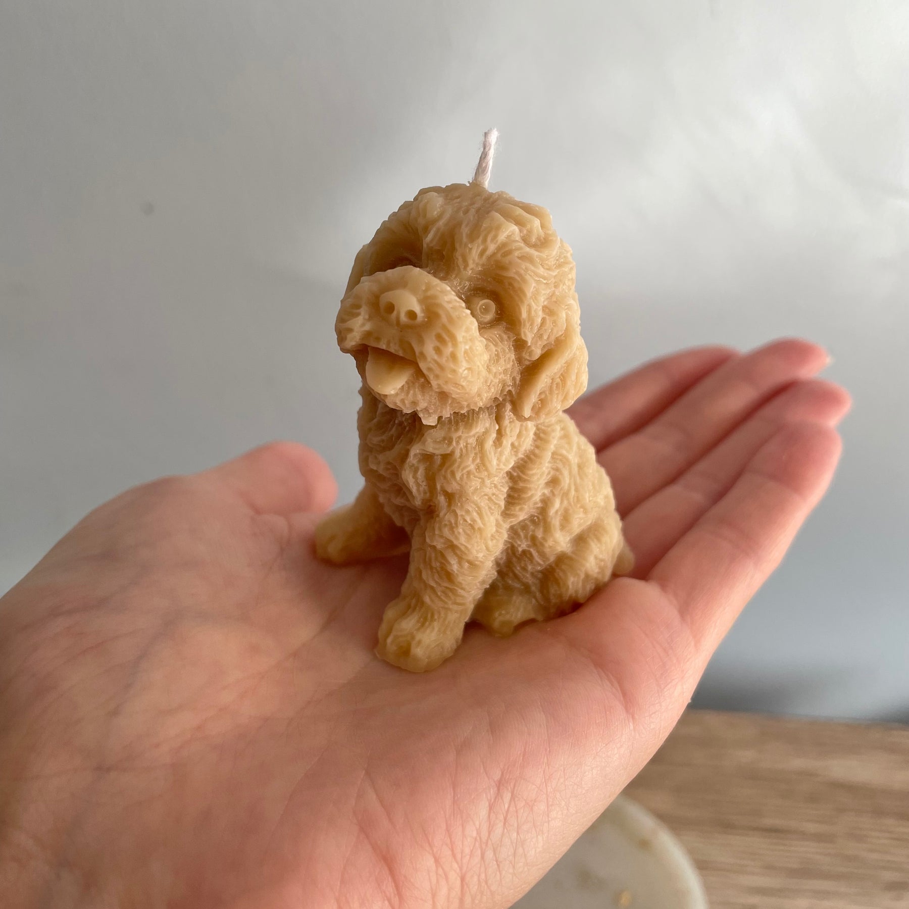 Small Cavoodle Candle