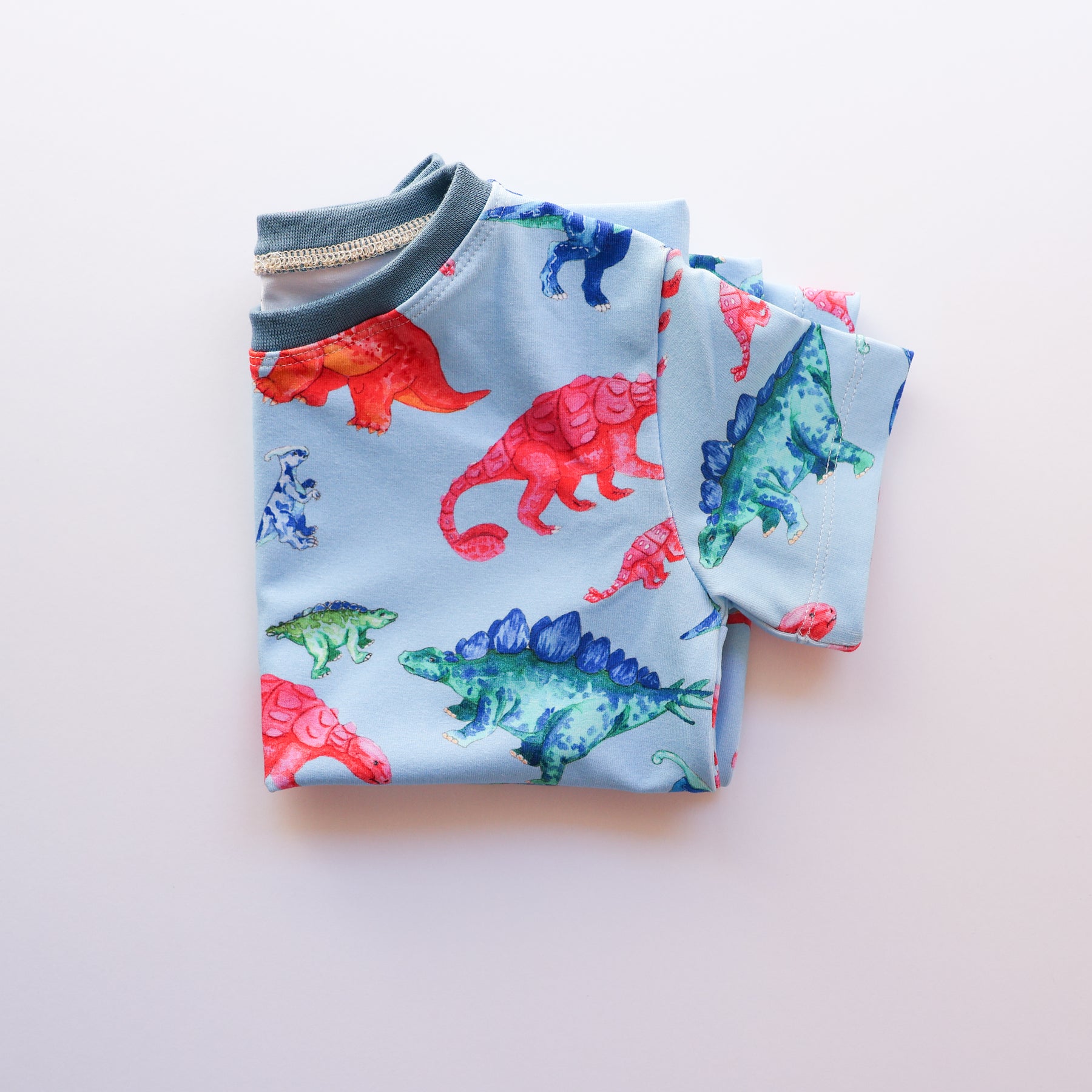 Colourful Dino Roars organic cotton tee shirt 2026-27