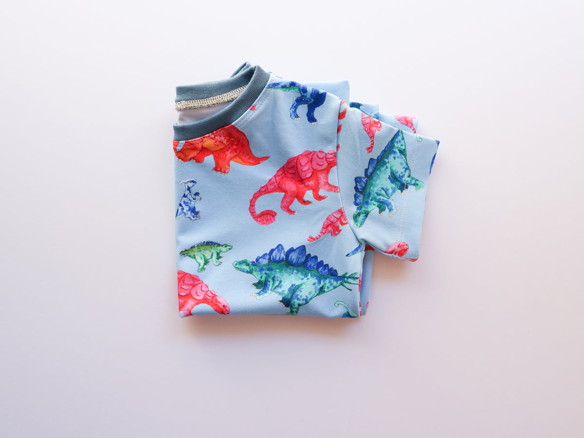 Colourful Dino Roars organic cotton tee shirt 2026-27