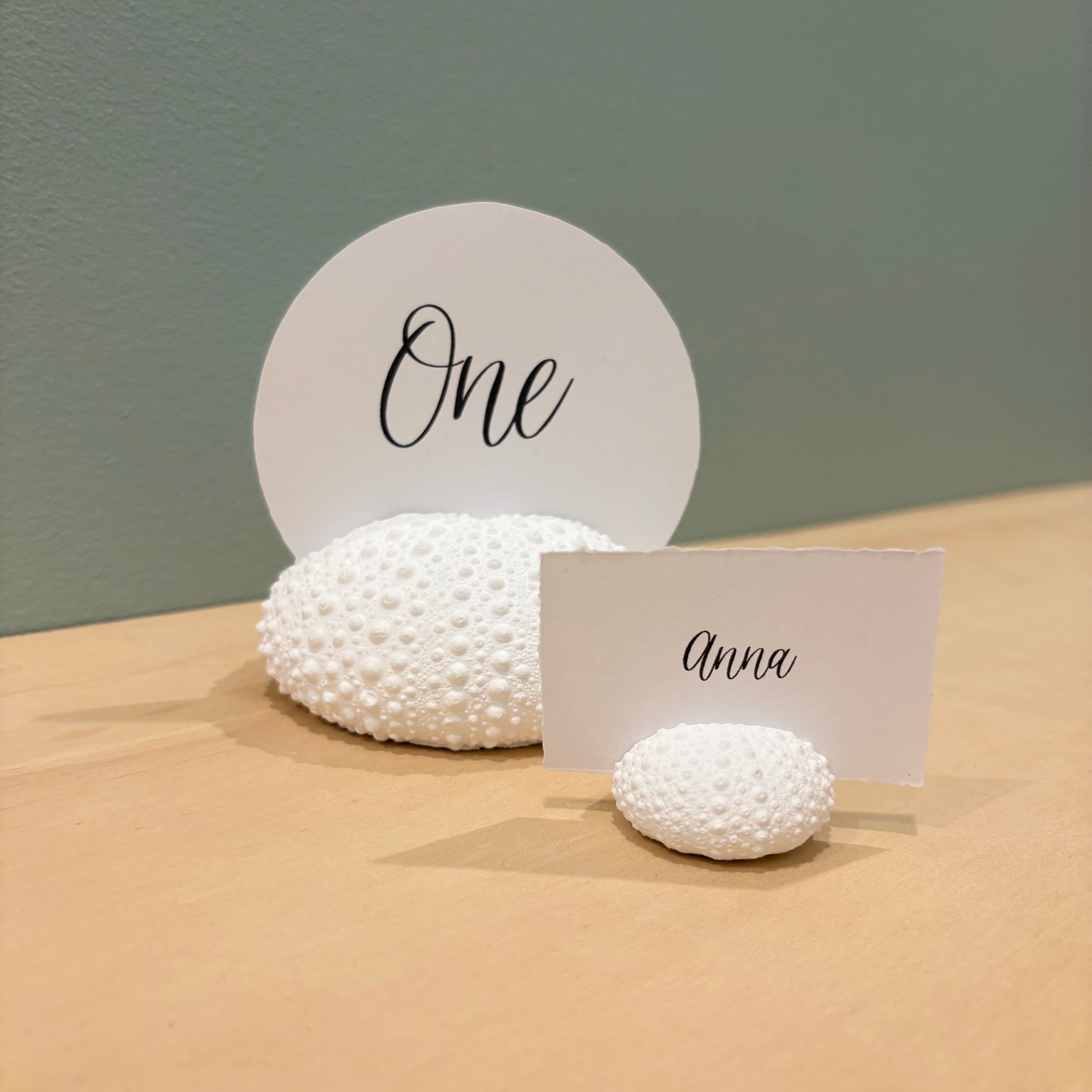 Large sea urchin photo/sign holder - eco resin