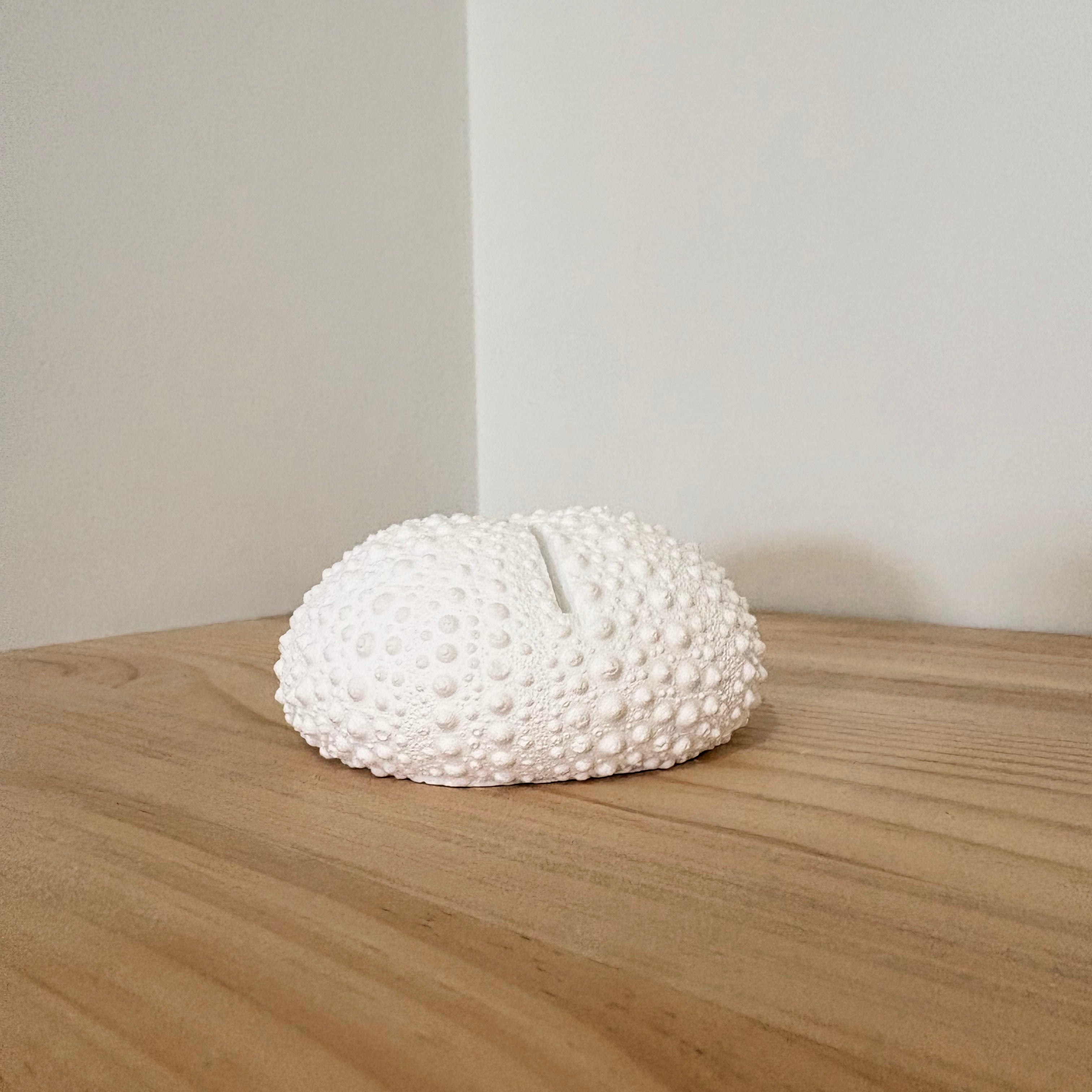 Large sea urchin photo/sign holder - eco resin