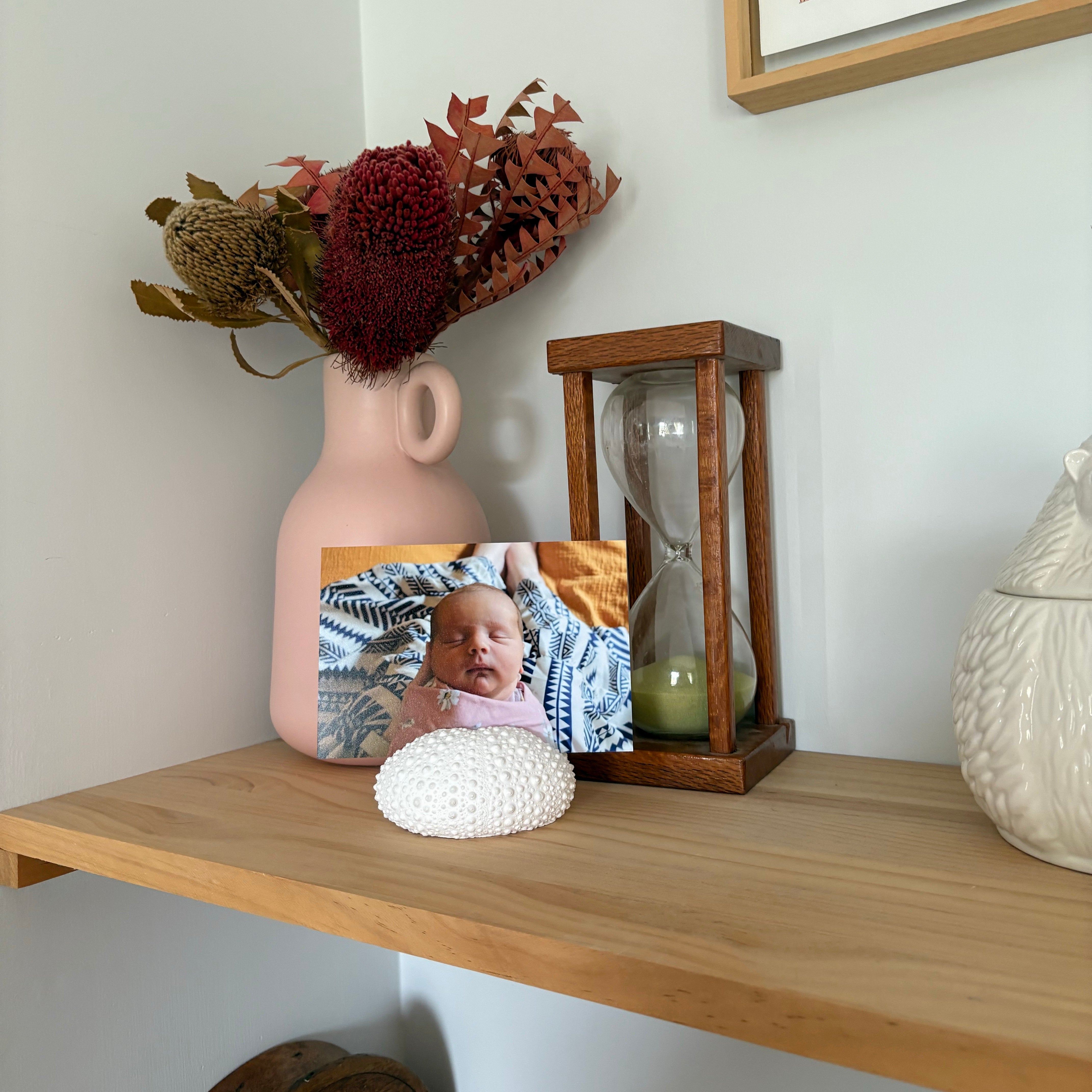 Large sea urchin photo/sign holder - eco resin