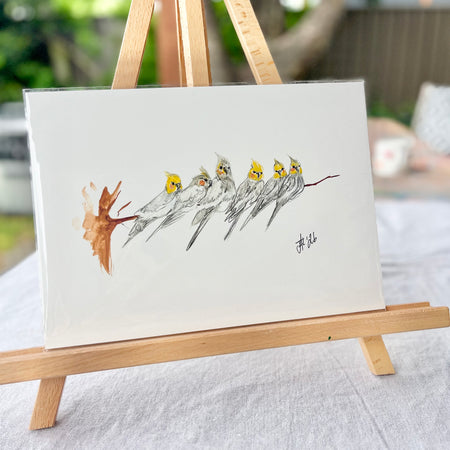 Clowning Cockatiels | Australian Native Birds Illustration | A4 Print