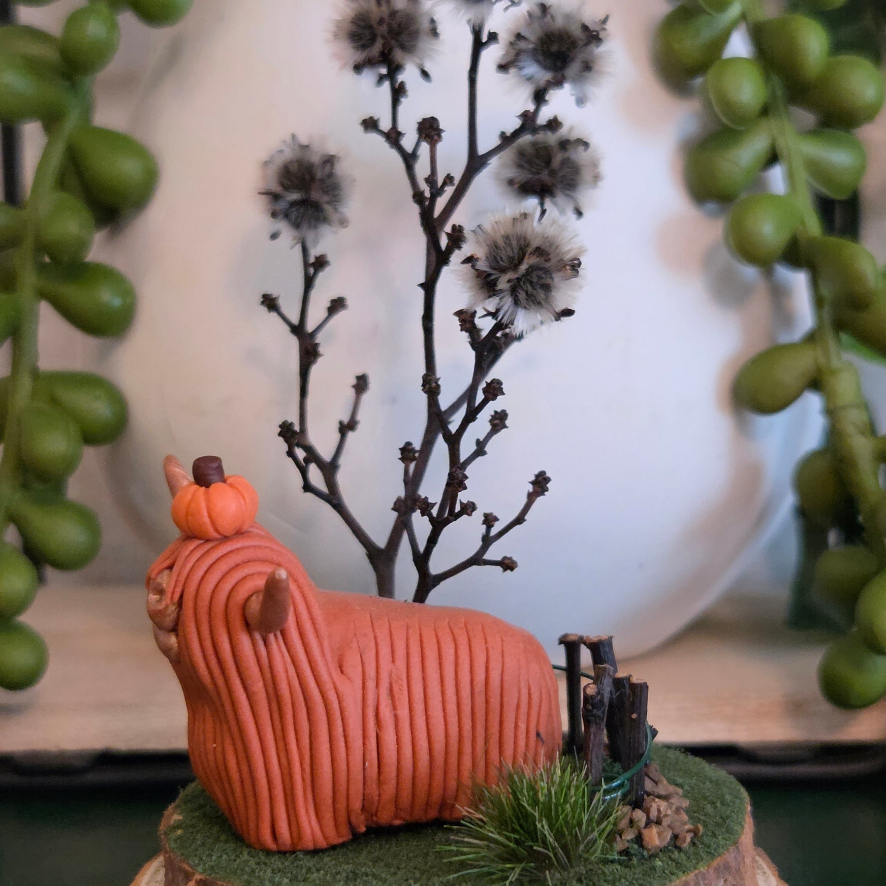 Highland Cow - Willow