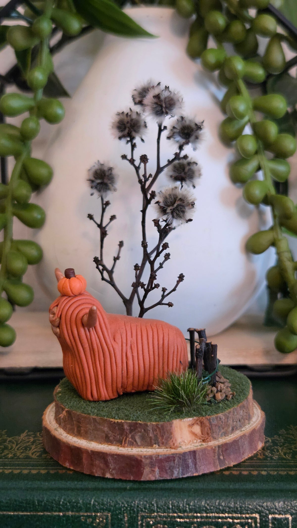 Highland Cow - Willow
