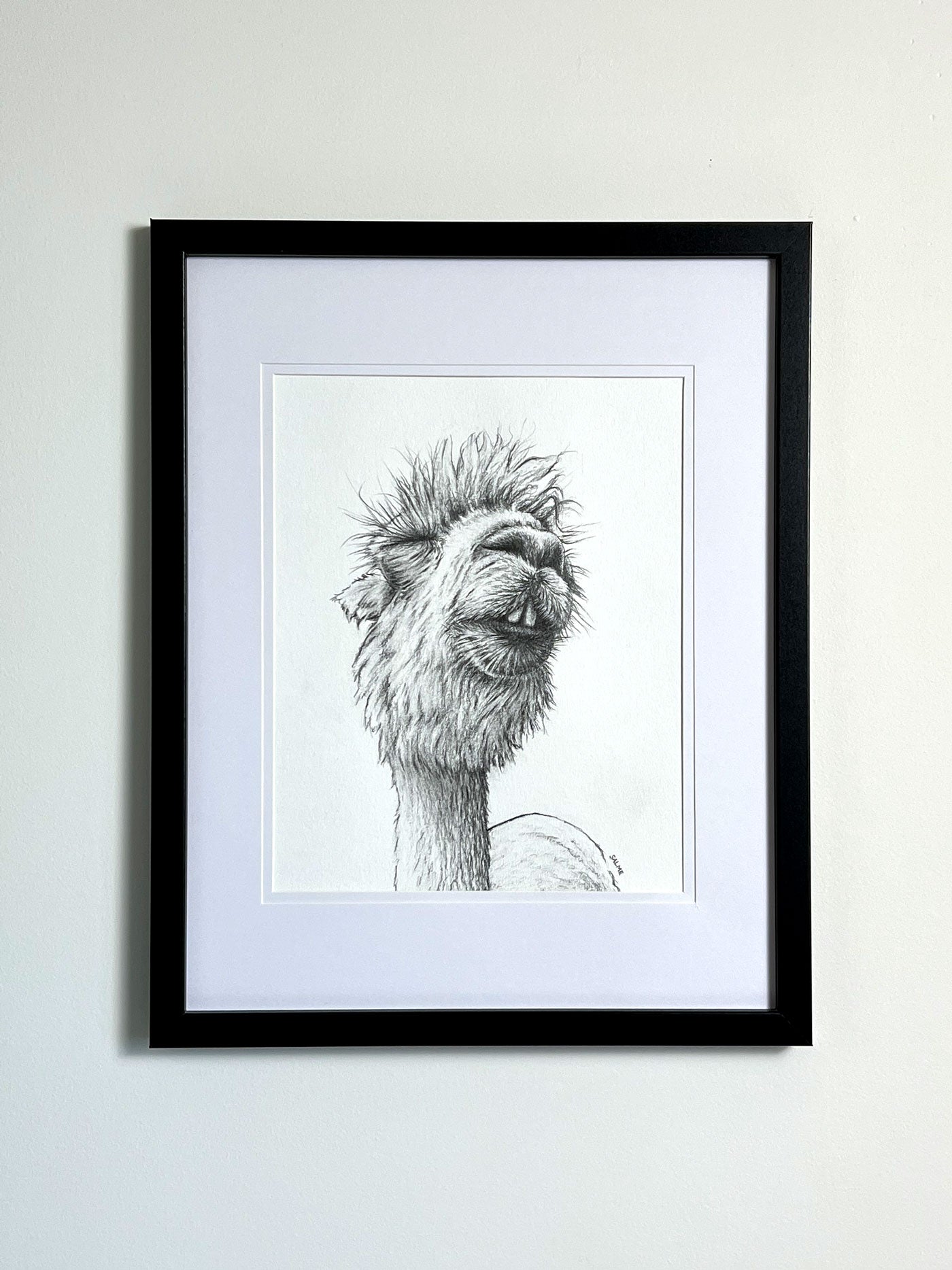 Cheeky Alpaca | Hand Drawn Original Artwork