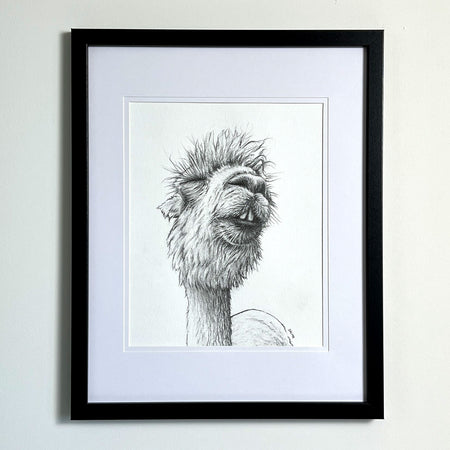 Cheeky Alpaca | Hand Drawn Original Artwork
