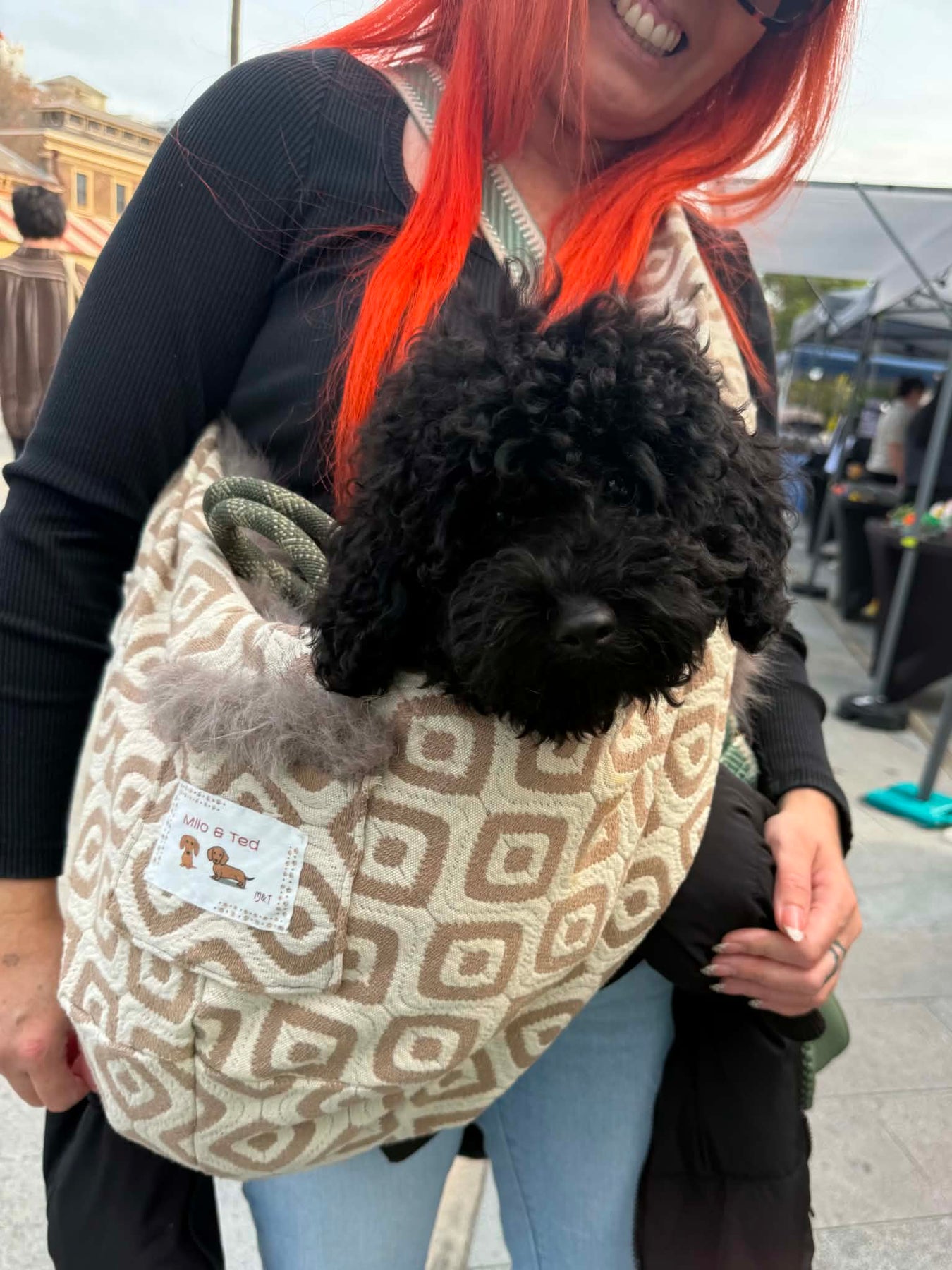 The Tediroo Sling - Pet carrier for dog, cat, rabbit, sling, bag, carry bag.