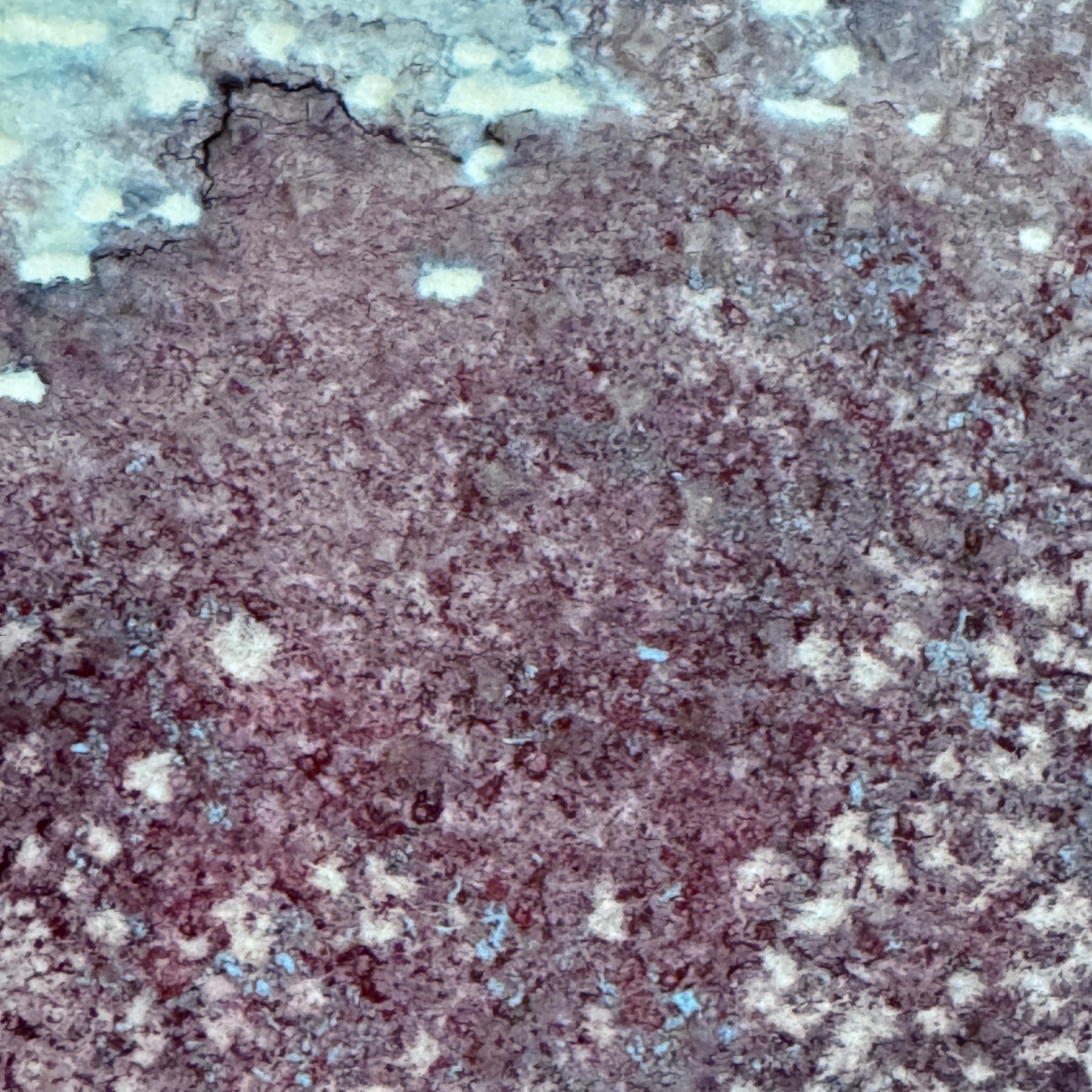 Velvet Tide Original Abstract Watercolour