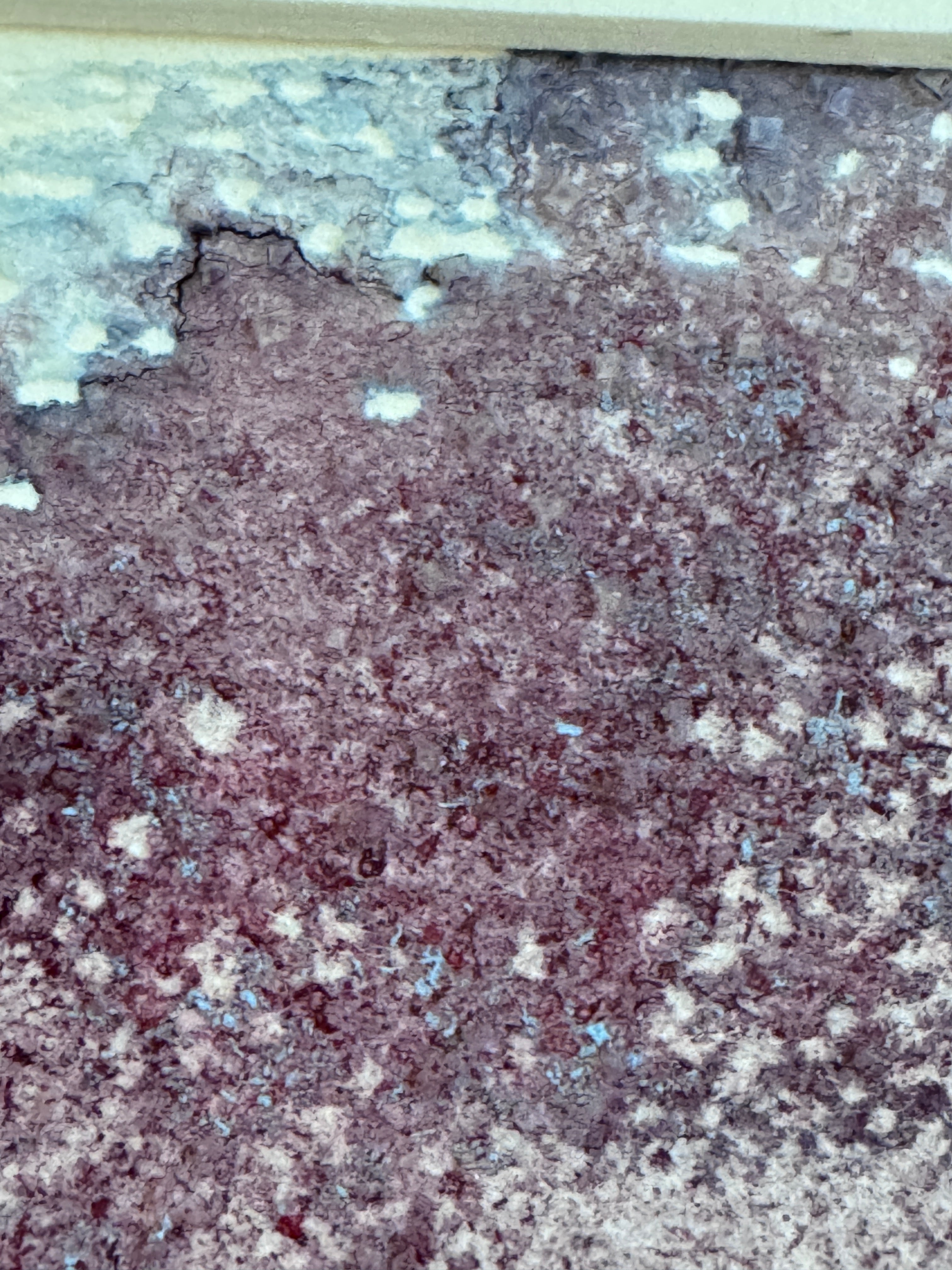 Velvet Tide Original Abstract Watercolour