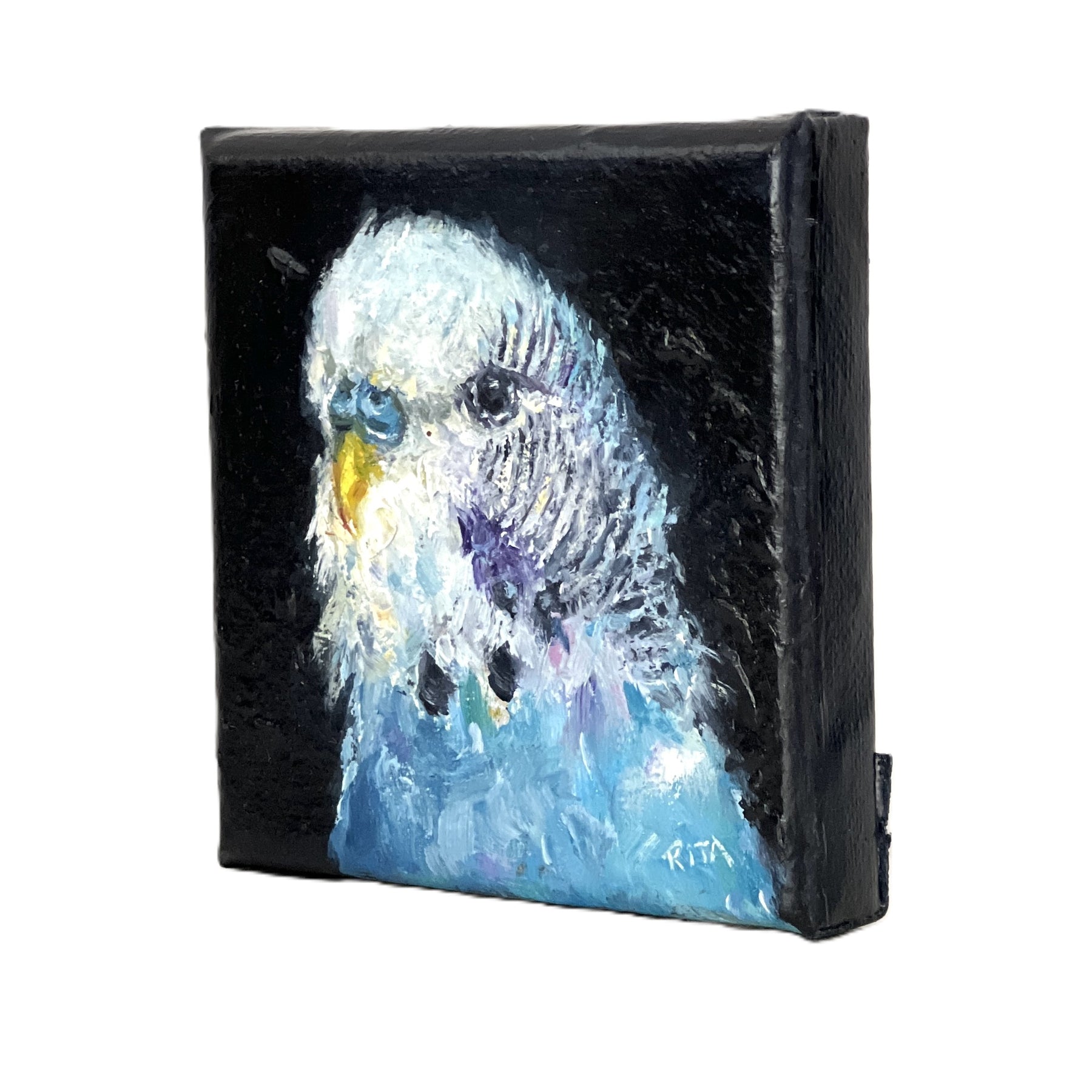 Original Bird Blue Budgie Mini Oil Painting