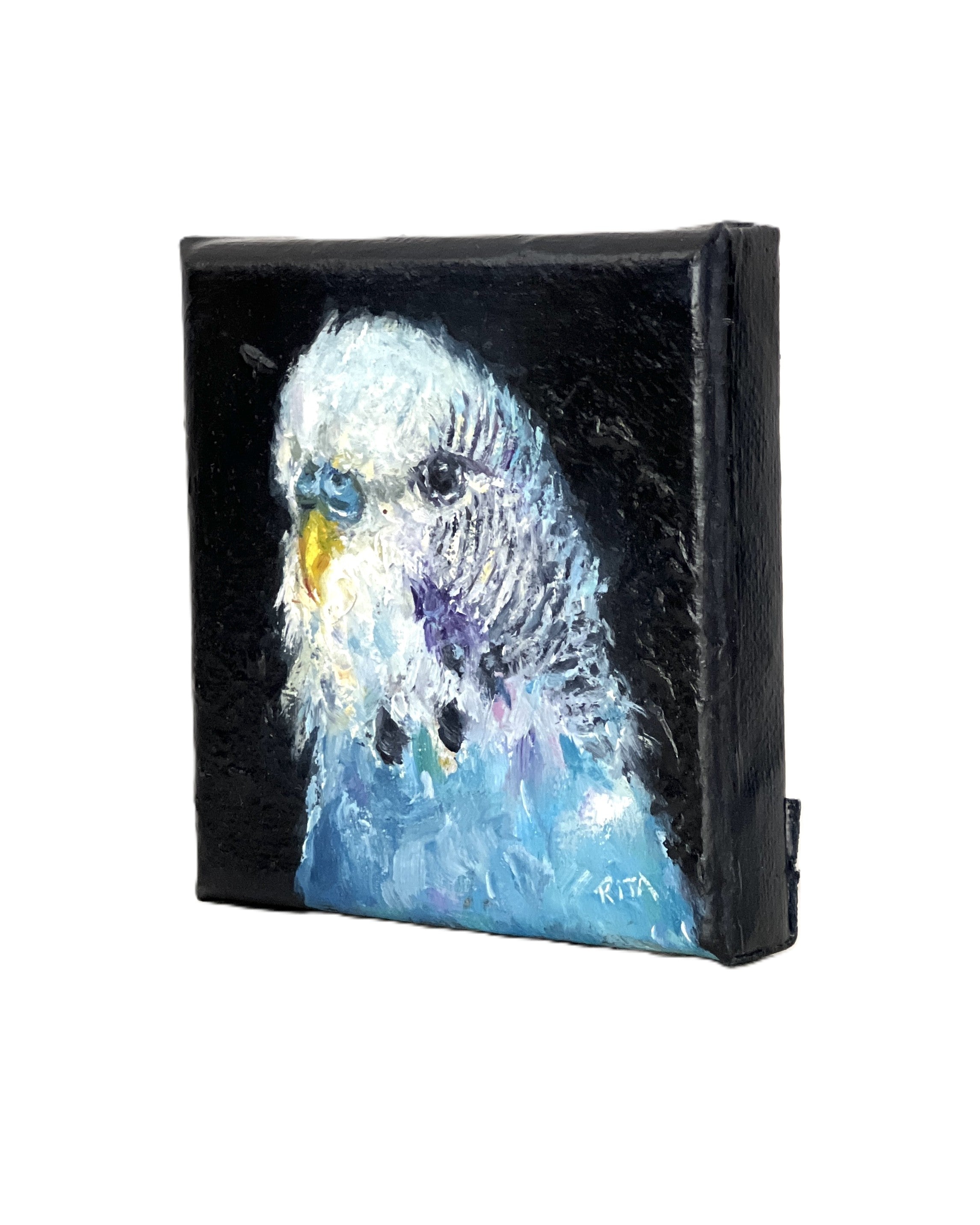 Original Bird Blue Budgie Mini Oil Painting